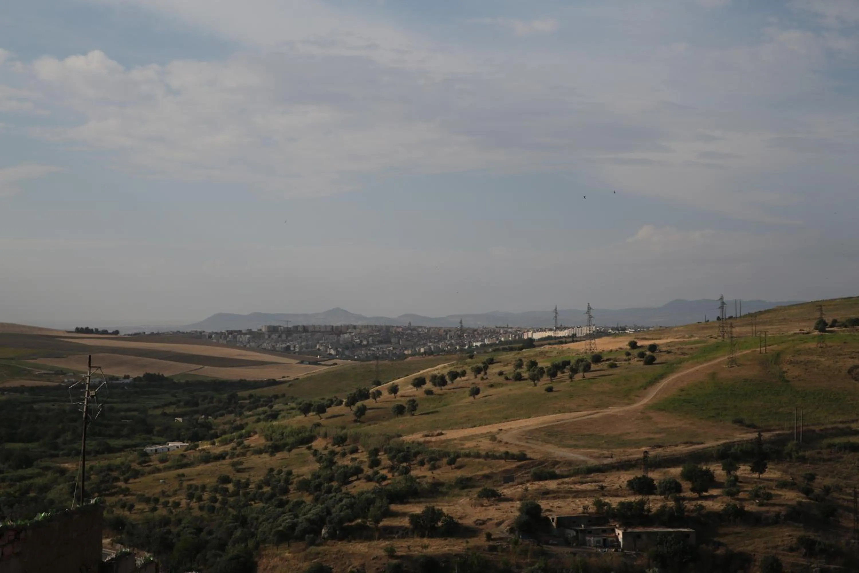 View (from property/room) in Riad Al Bartal