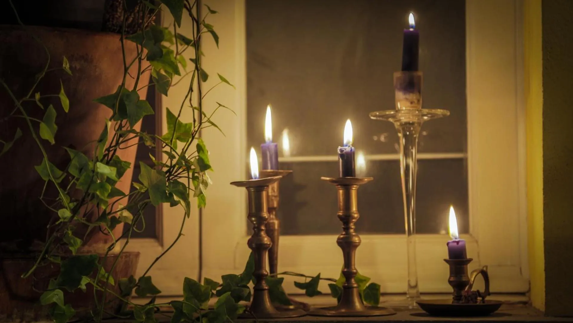 Night in Good Morning Bologna