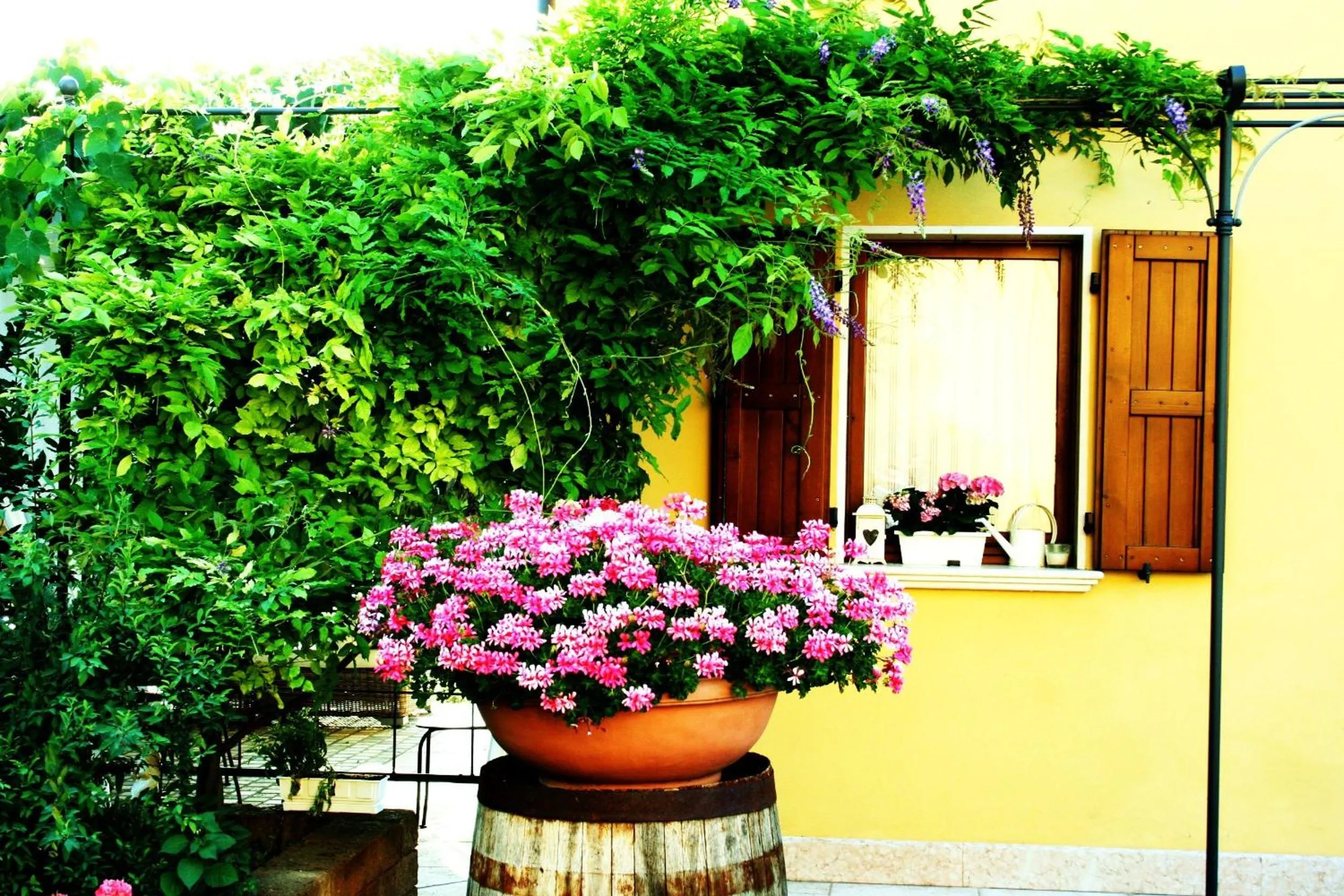 Garden in Agriturismo Cà Nuova