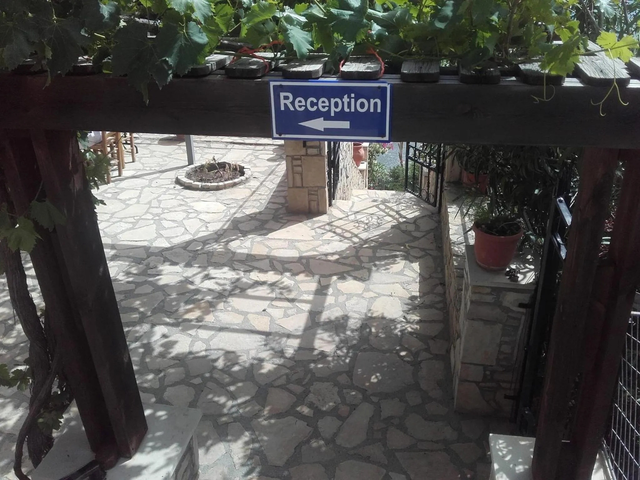 Restaurant/places to eat in Villa Koutsakis