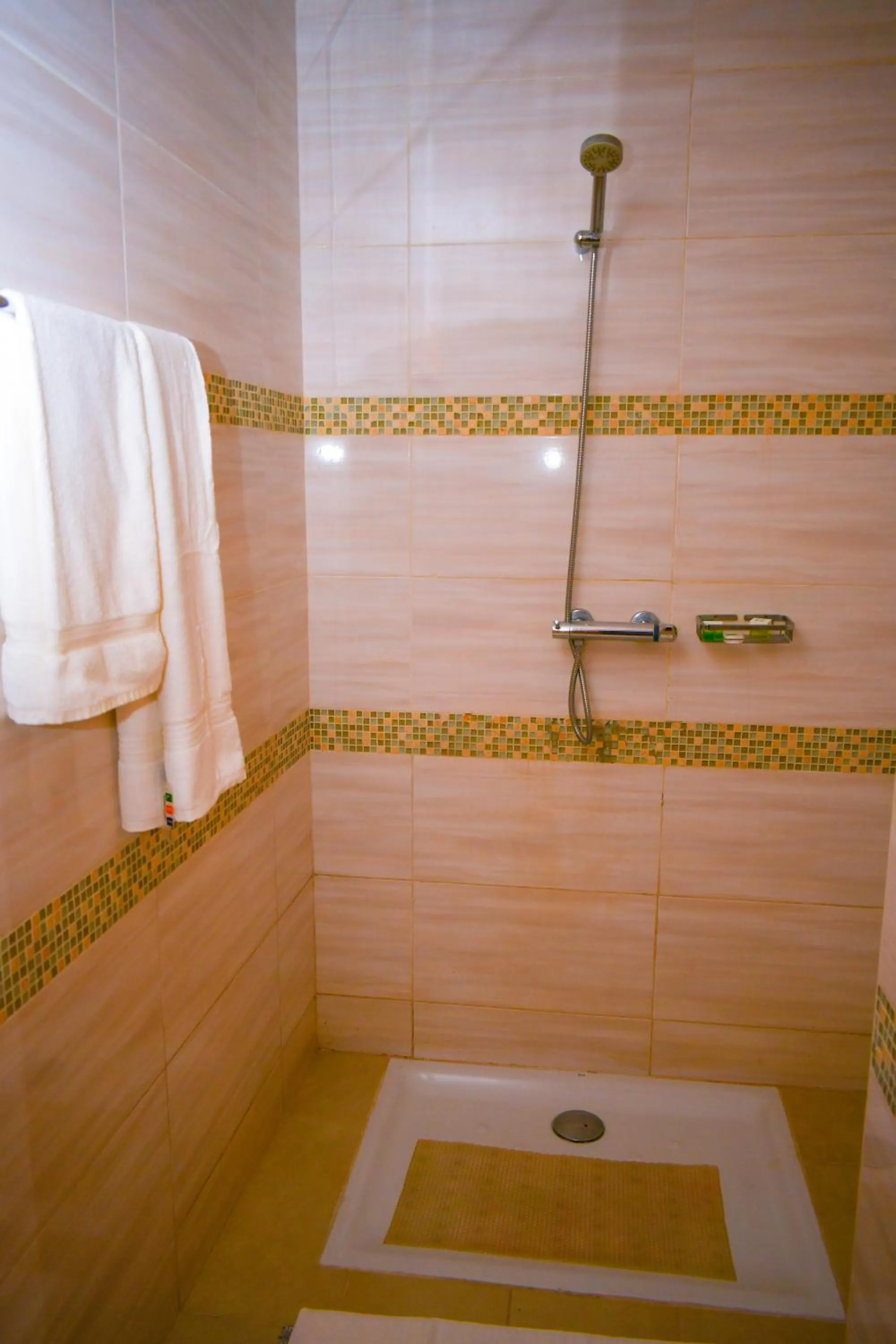 Bathroom in Palm Club Hotel