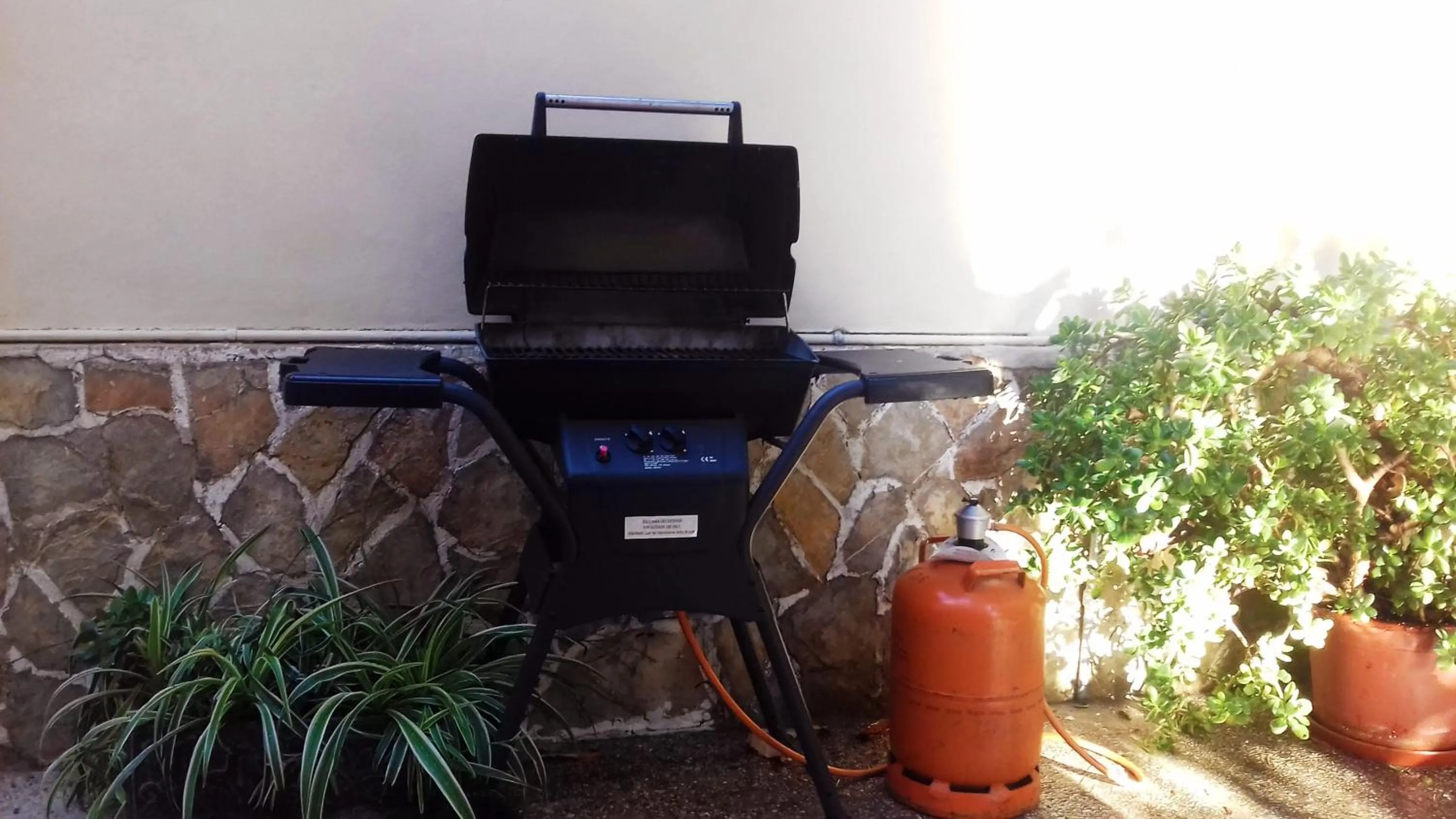 BBQ facilities in Can Pedro Ros
