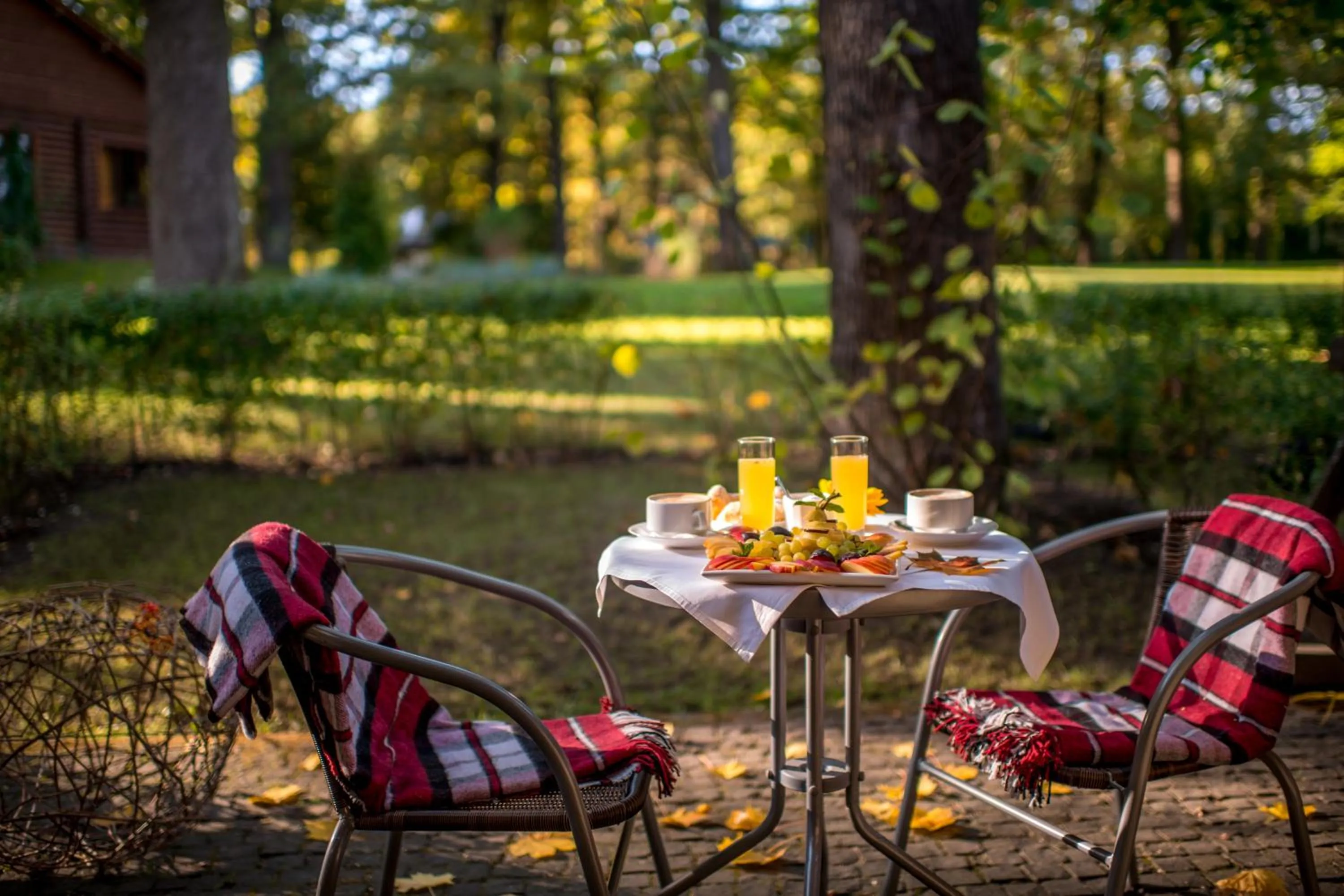 Patio in Drevny Grad Park-hotel