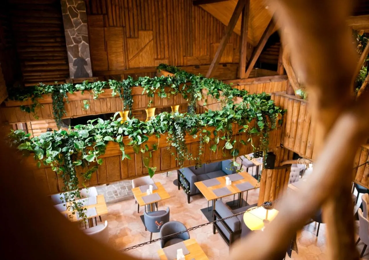 Restaurant/places to eat in Drevny Grad Park-hotel