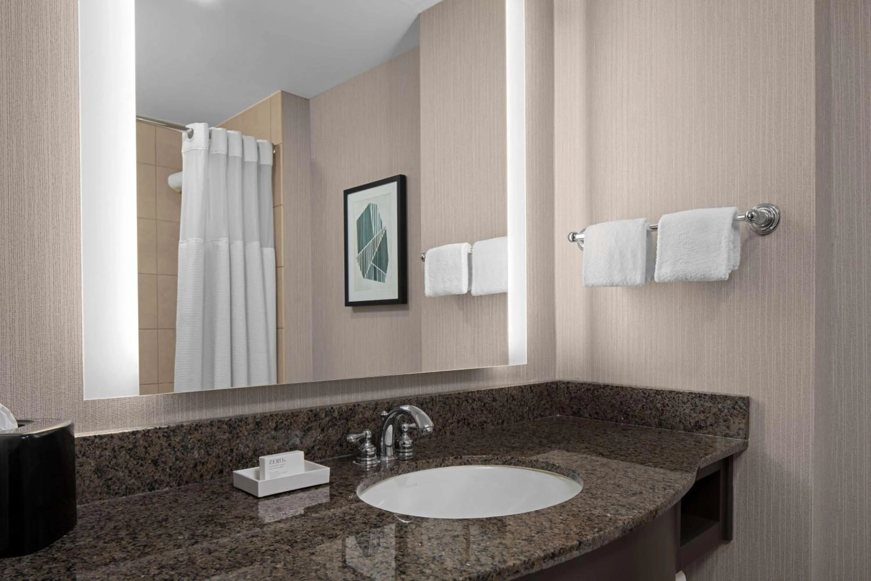 Bathroom in Hilton Garden Inn Bethesda Downtown