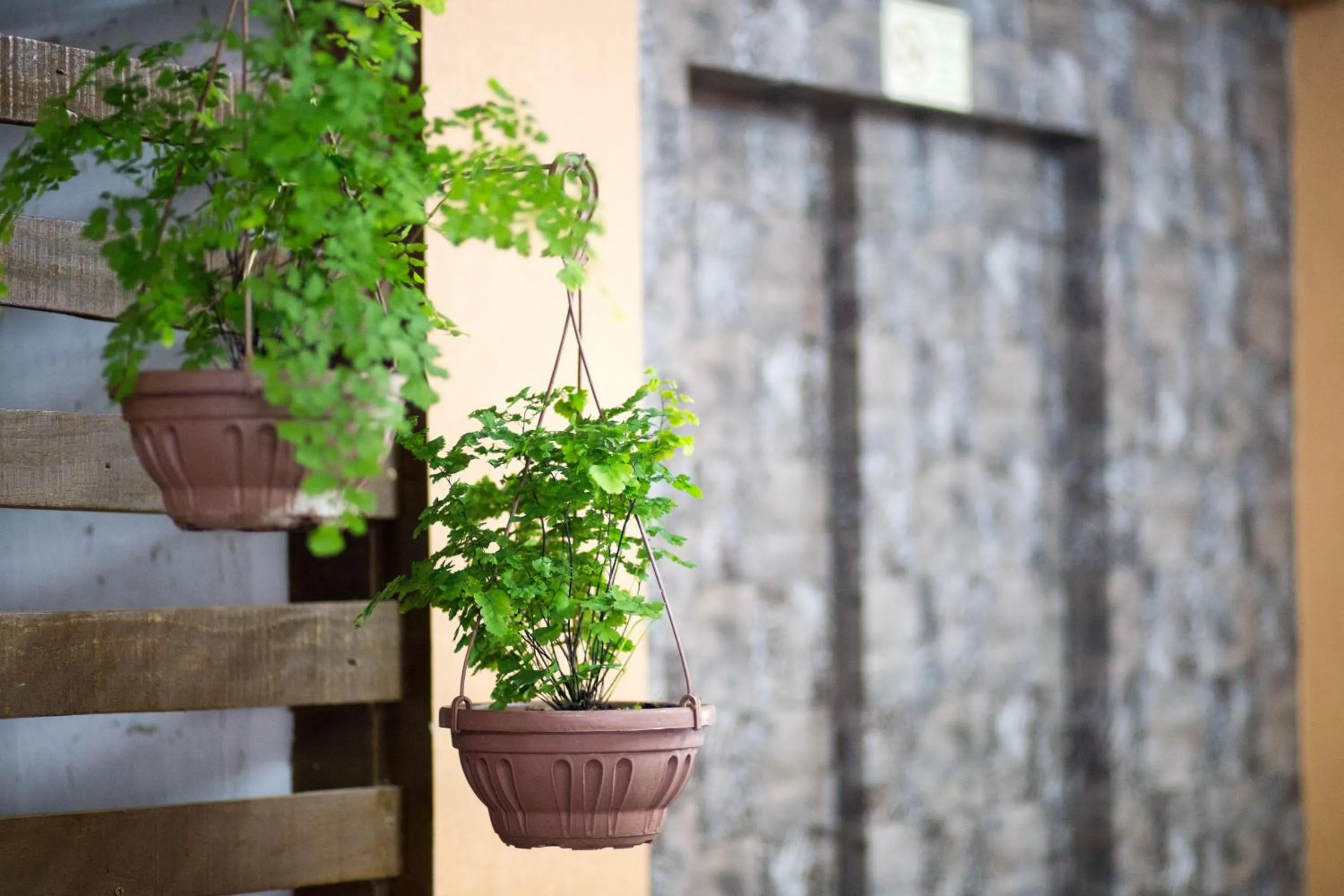 Property building in Infinity Hotel