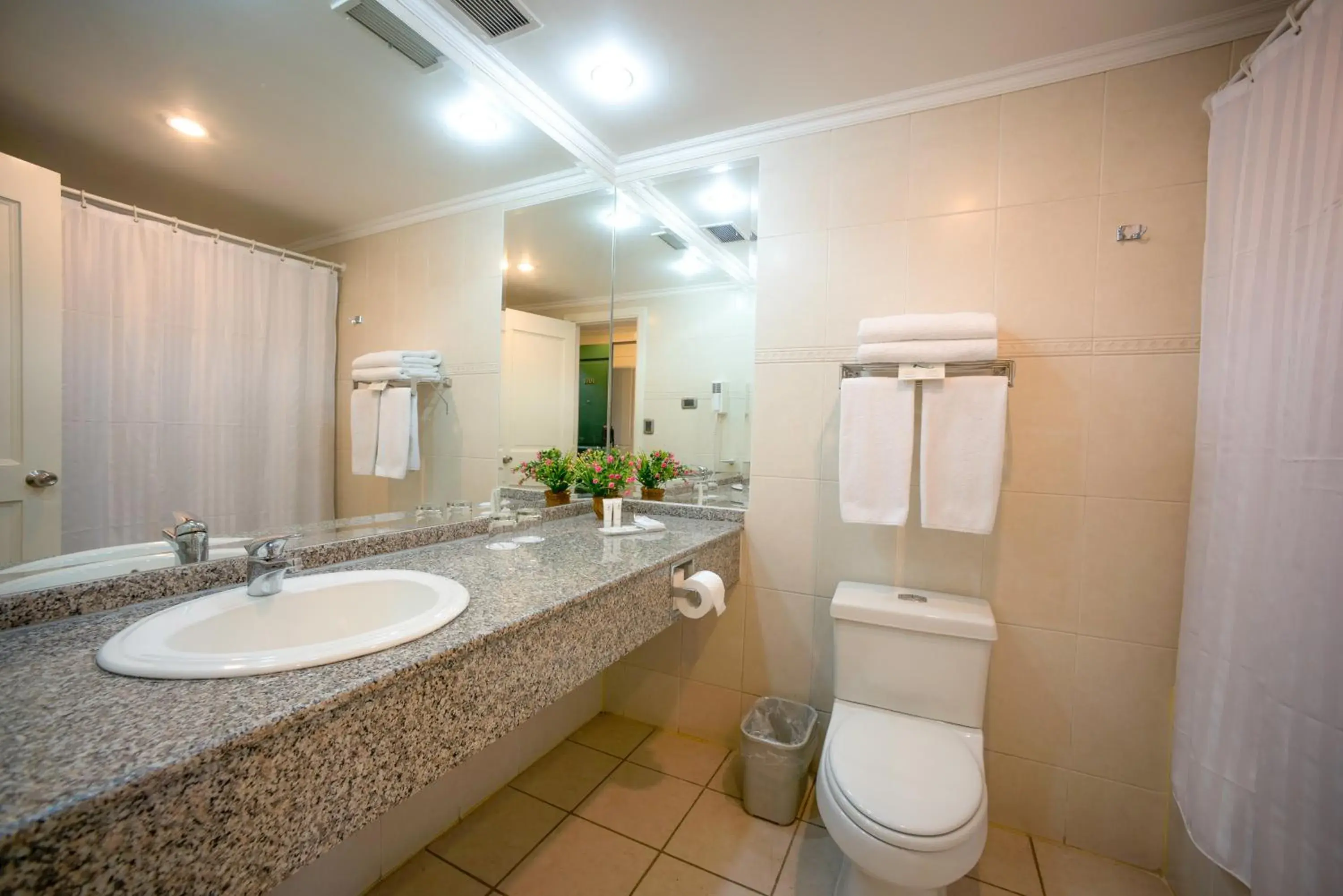 Double Room - single occupancy in Hotel Diego de Almagro Concepción Double Room - single occupancy in Hotel Diego de Almagro Concepción