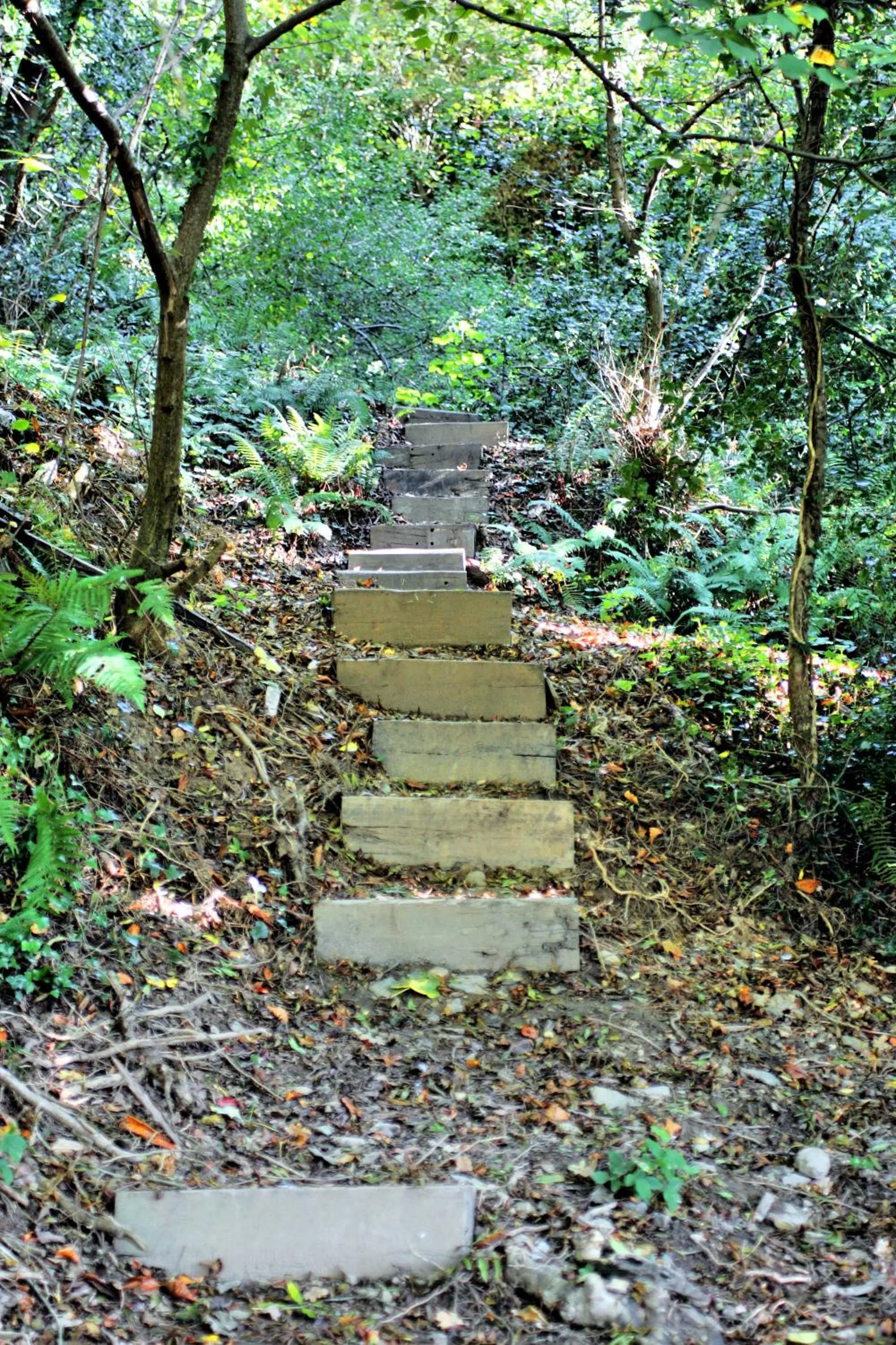 Natural landscape in Brandon House Hotel