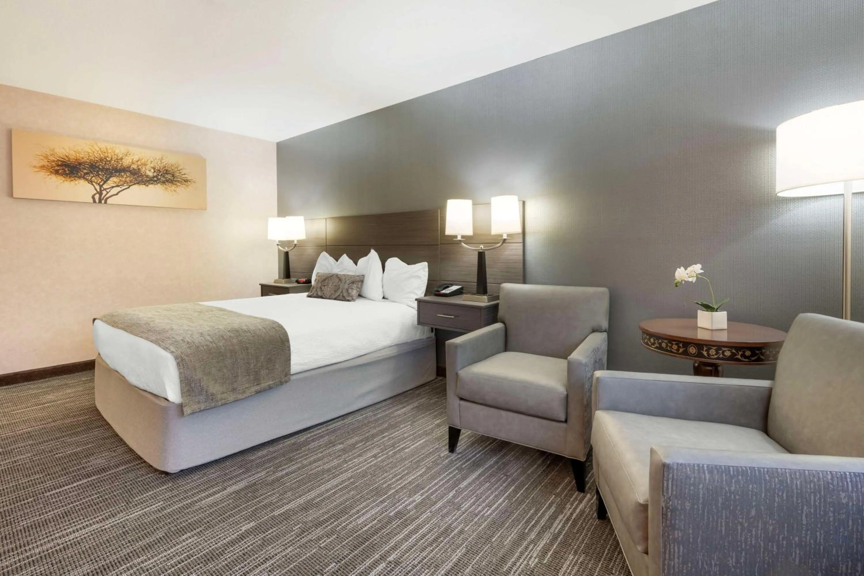 Bedroom, Bed in Best Western Plus City Center