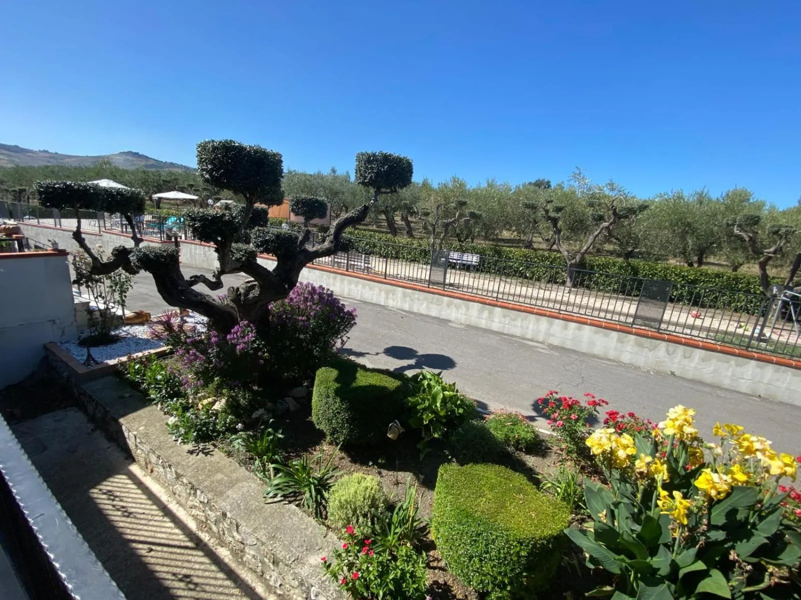 Garden in B&B Pozzo Innamorato