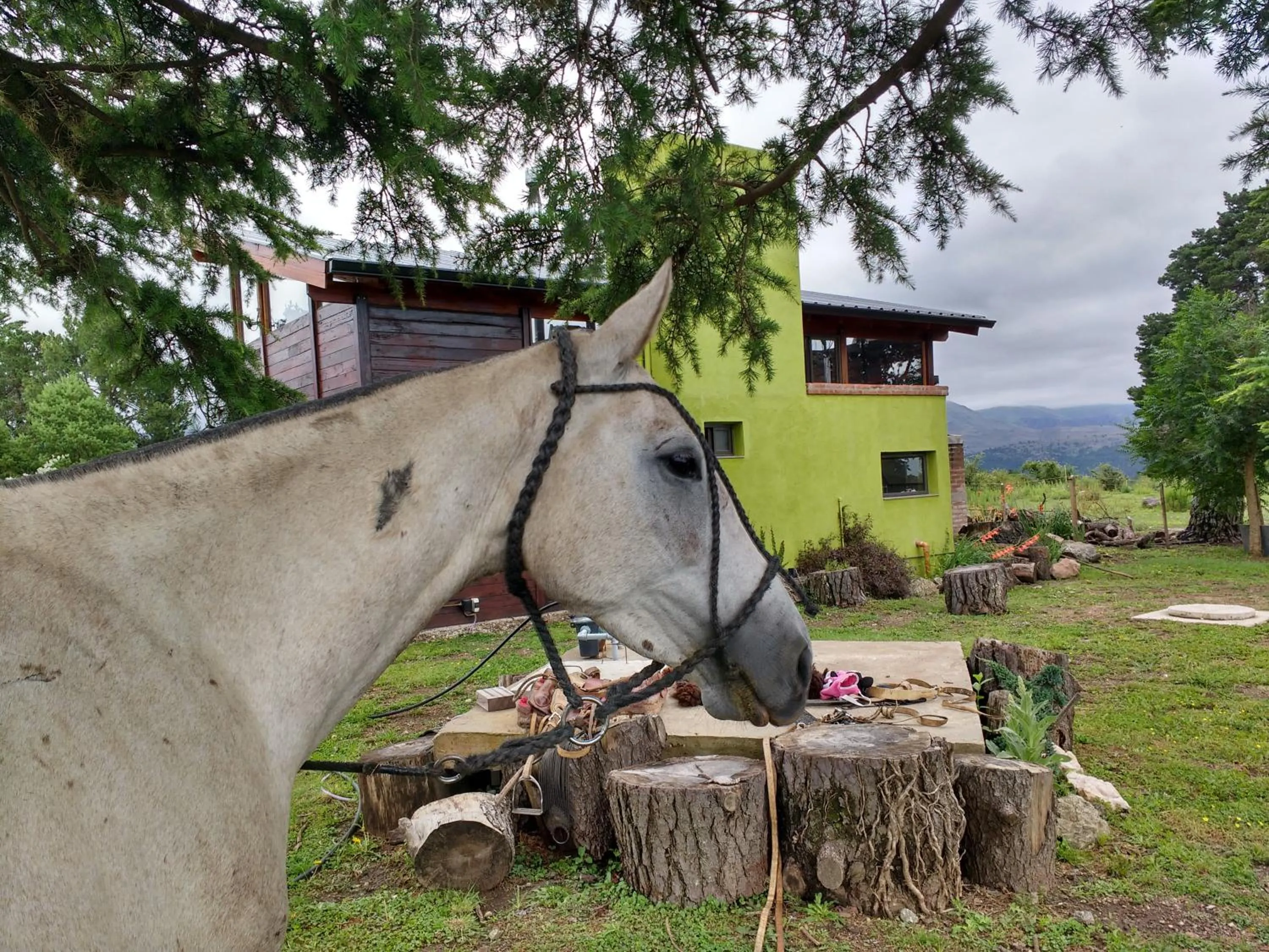La Azotea cabañas & suites