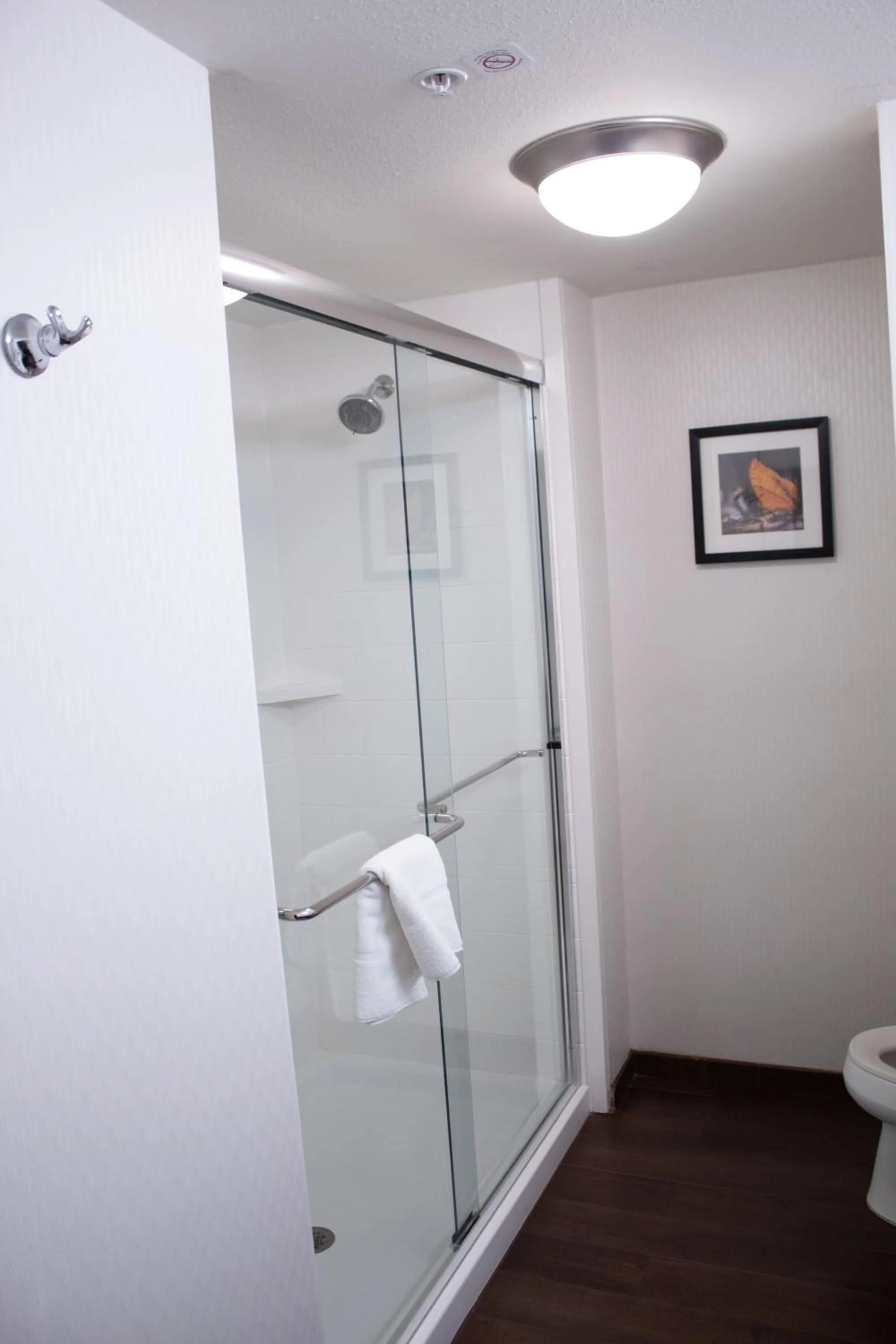 Hampton Inn & Suites Big Rapids, Mi