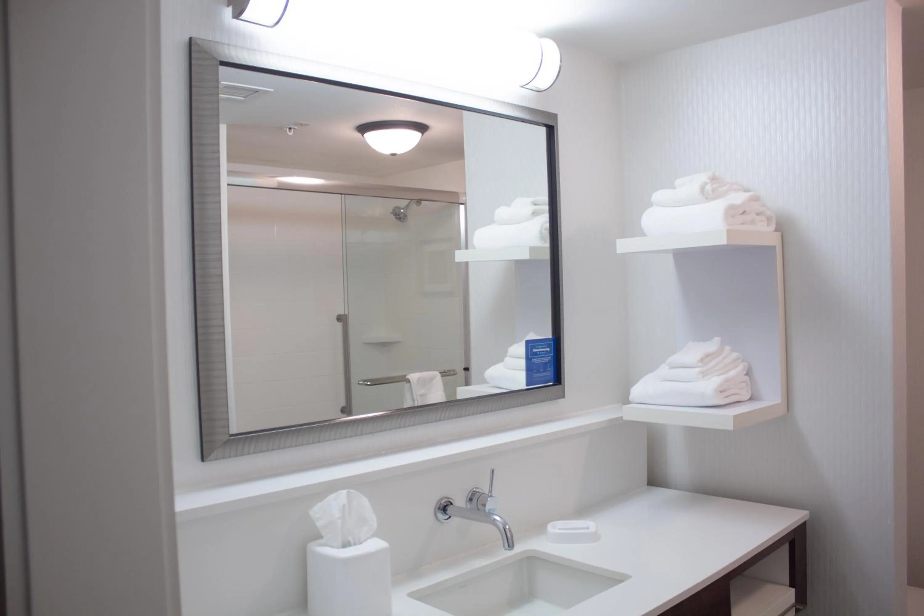 Hampton Inn & Suites Big Rapids, Mi