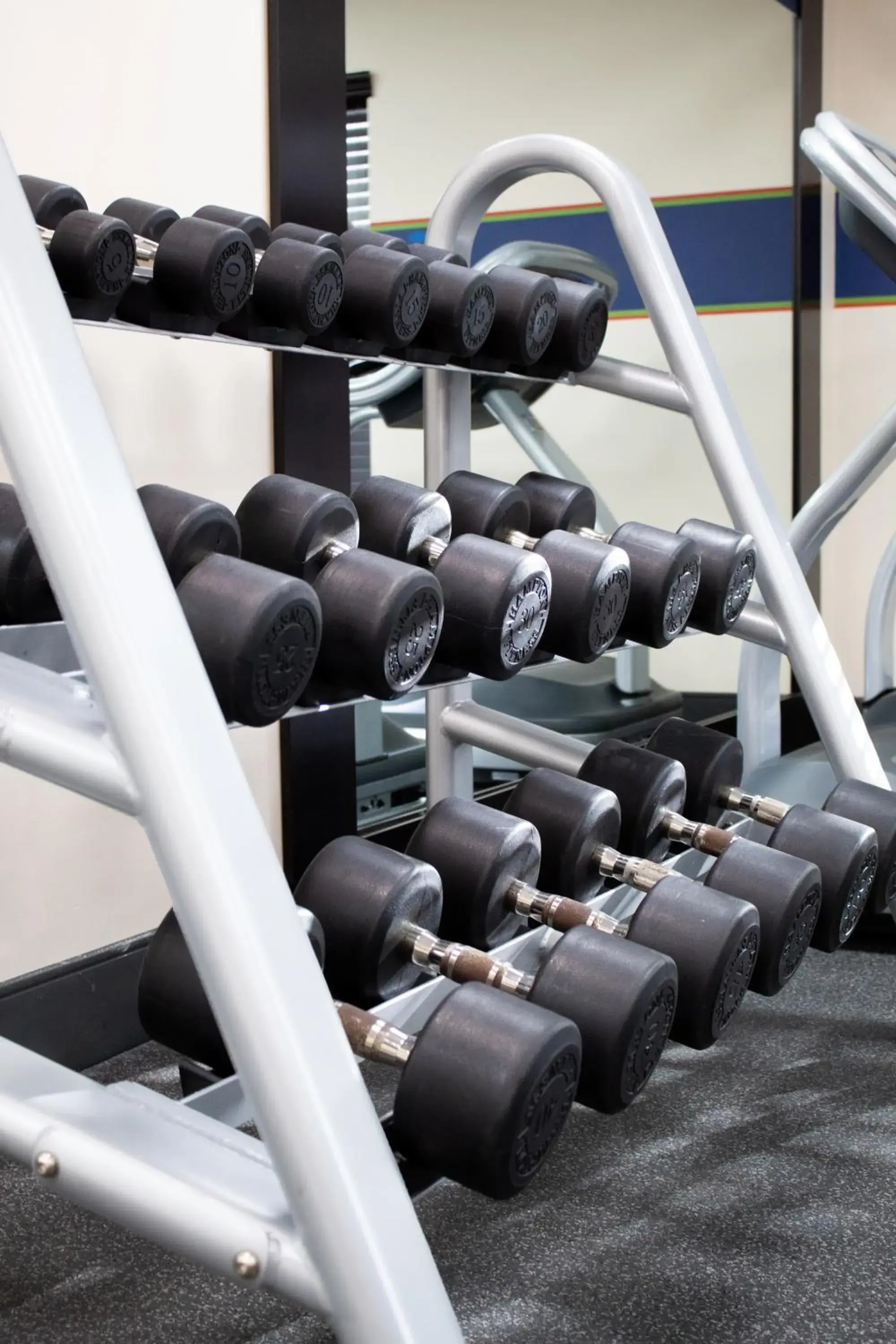 Fitness centre/facilities in Hampton Inn & Suites Big Rapids, Mi Fitness centre/facilities in Hampton Inn & Suites Big Rapids, Mi