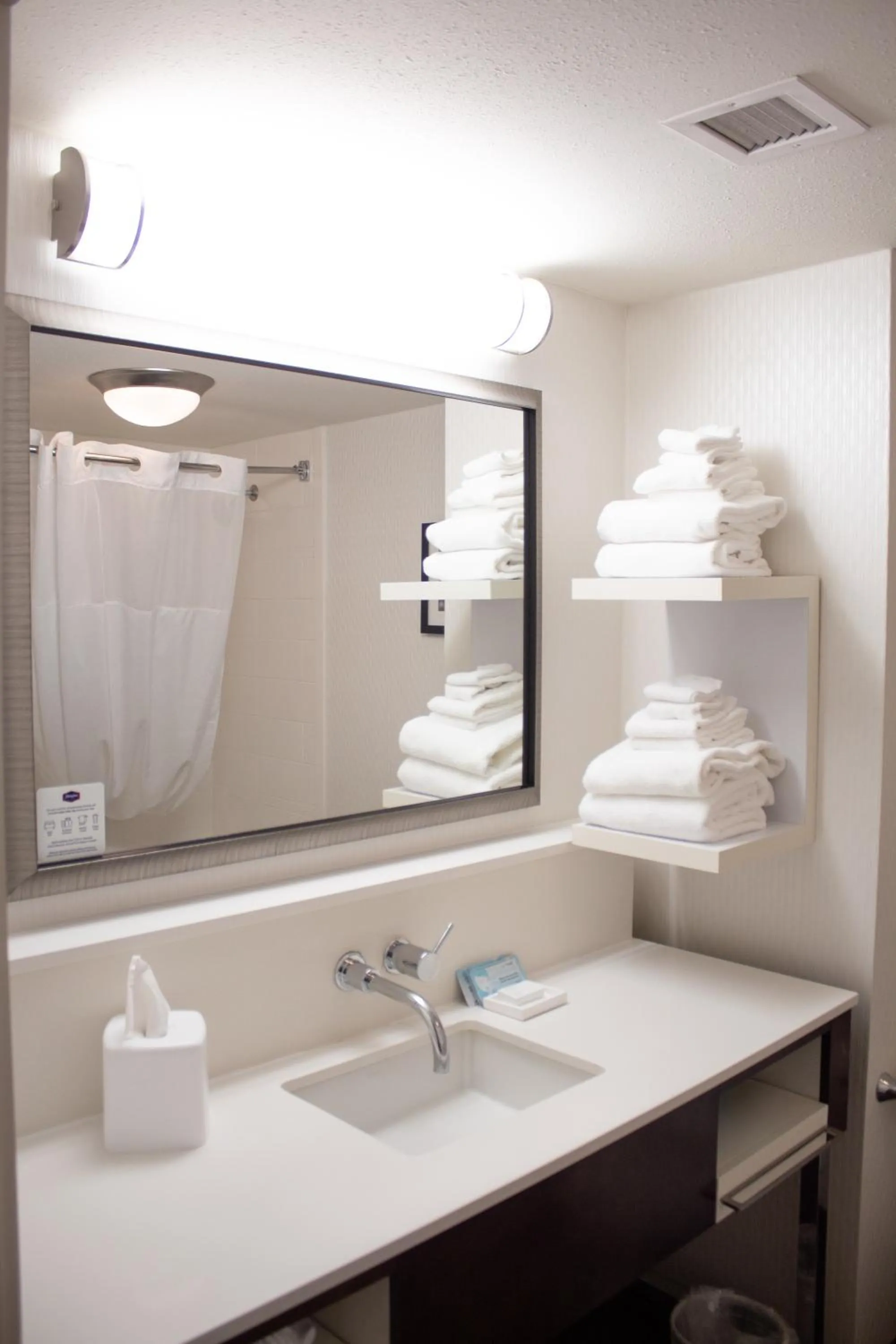 Hampton Inn & Suites Big Rapids, Mi