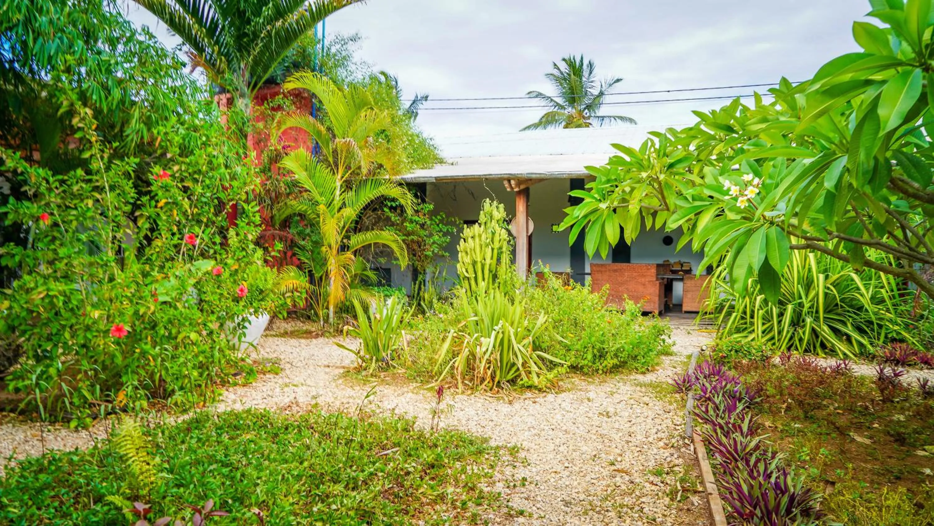 Garden in Nungwi House