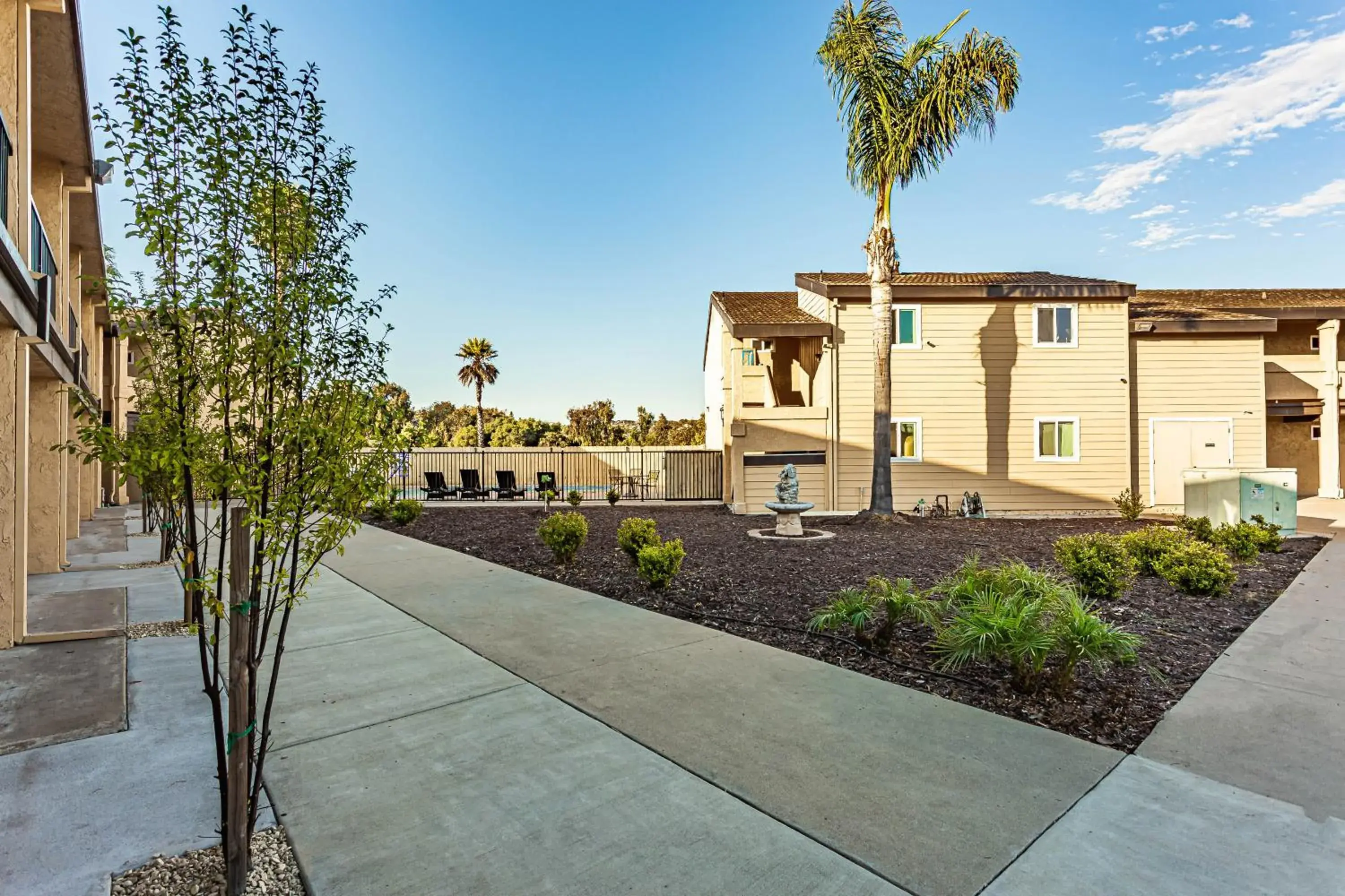 Garden view in Aloha Inn Garden view in Aloha Inn