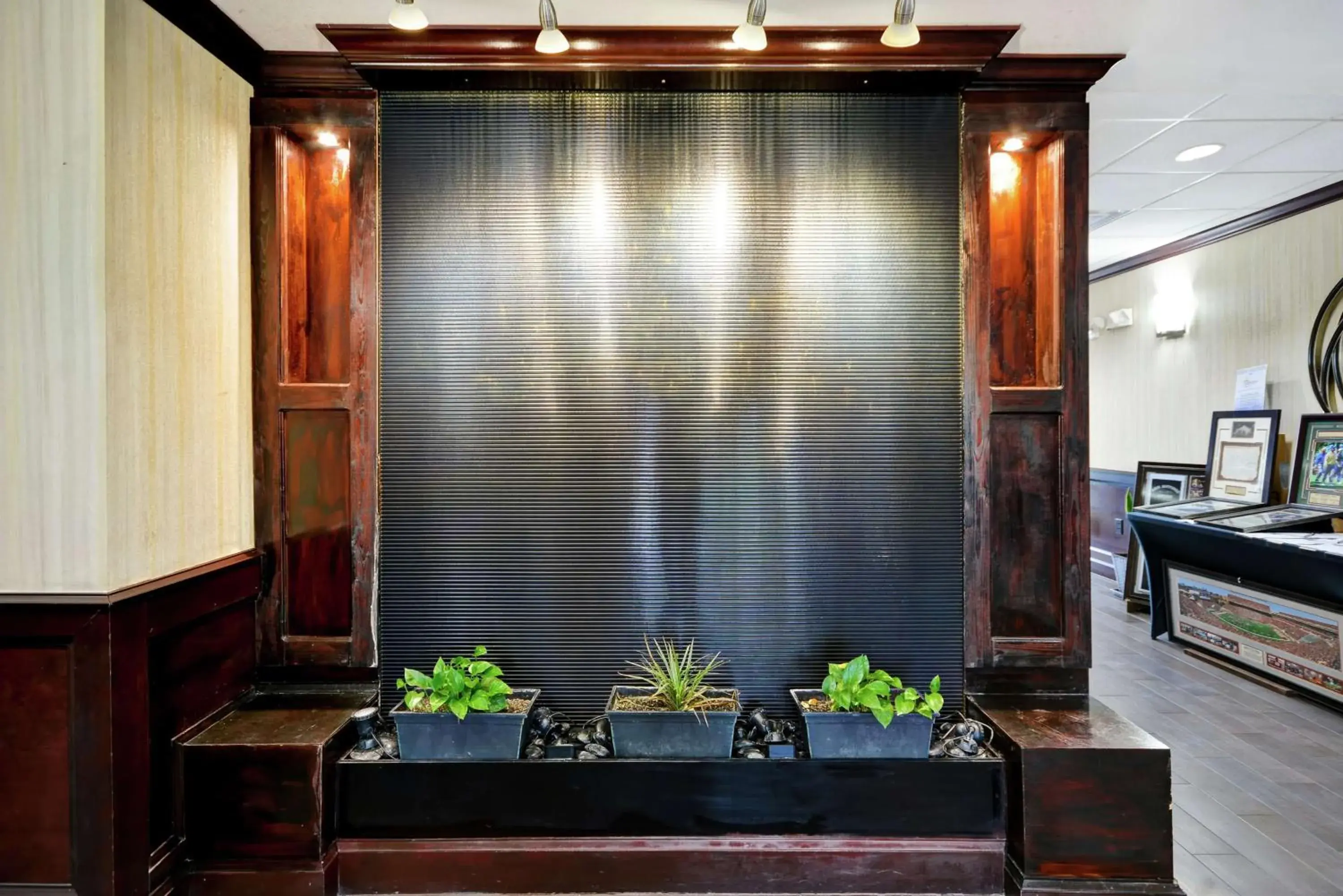 Hampton Inn & Suites San Antonio/Northeast I-35 Hampton Inn & Suites San Antonio/Northeast I-35