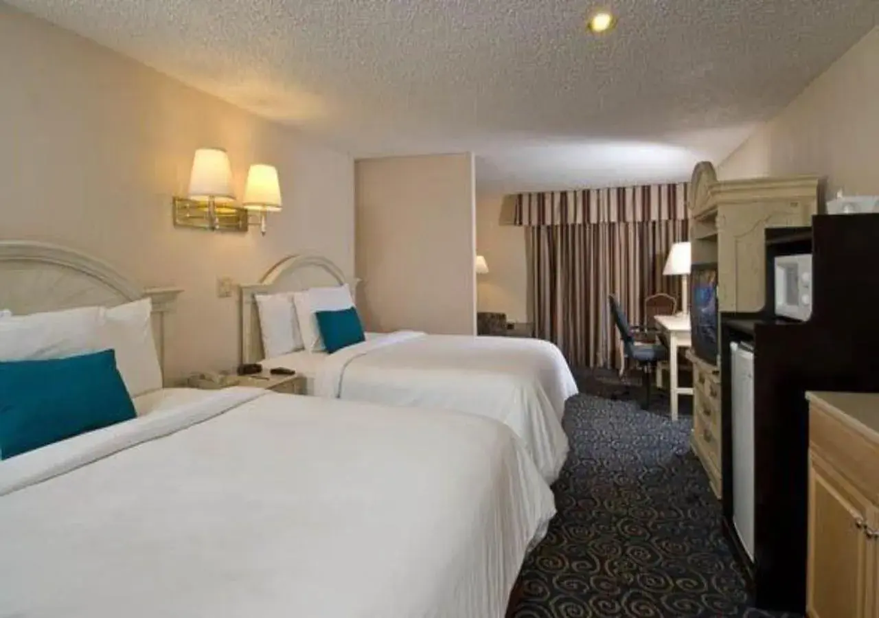 Bed in Tiki Resort - Lake George Bed in Tiki Resort - Lake George