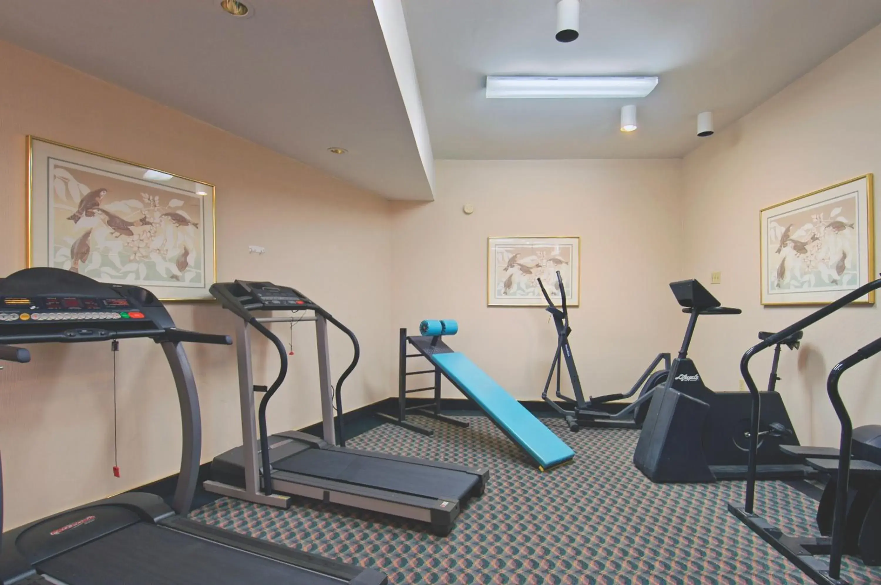 Fitness centre/facilities in Tiki Resort - Lake George Fitness centre/facilities in Tiki Resort - Lake George