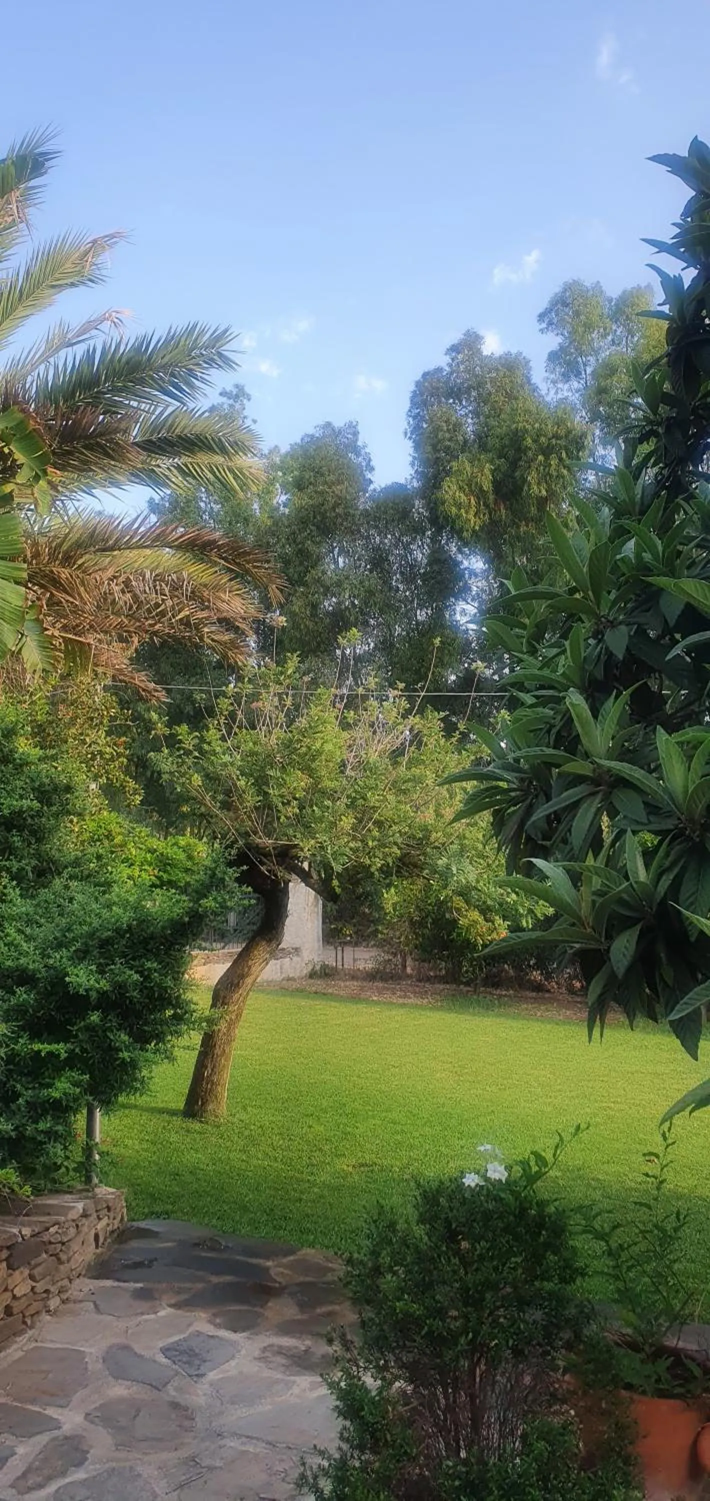 Garden in Villa Canu