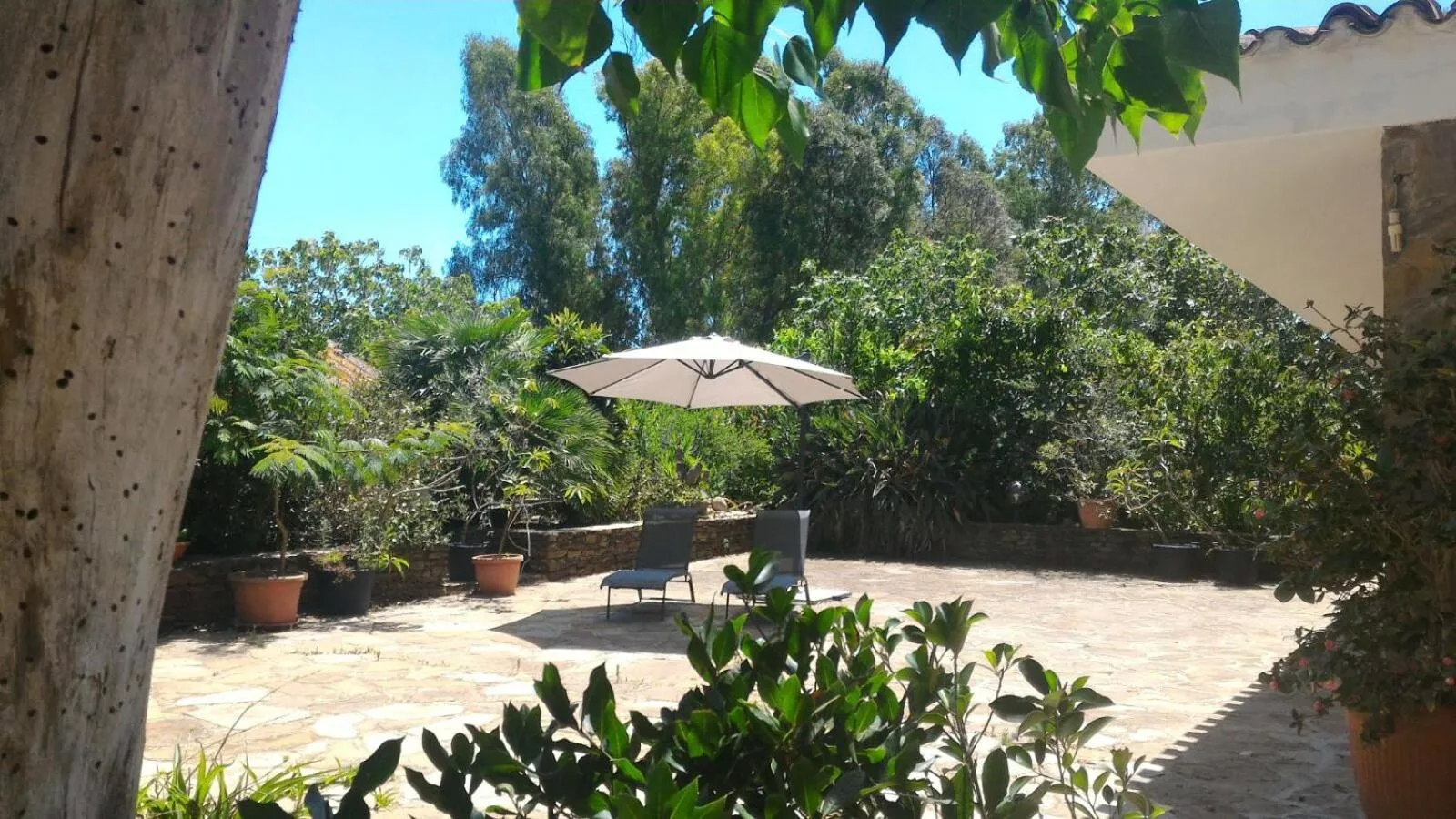 Garden in Villa Canu