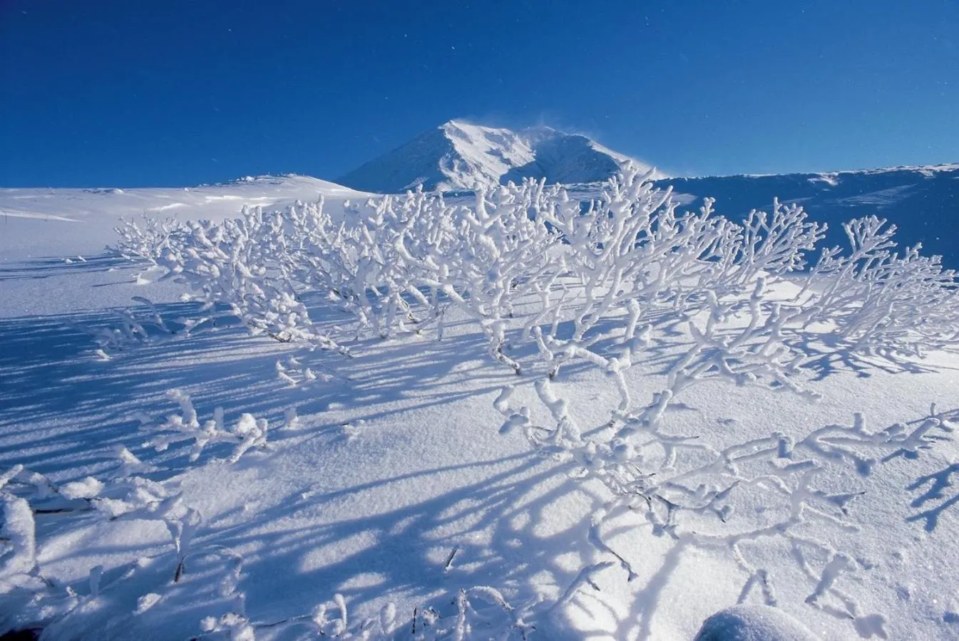 Day in La Vista Daisetsuzan