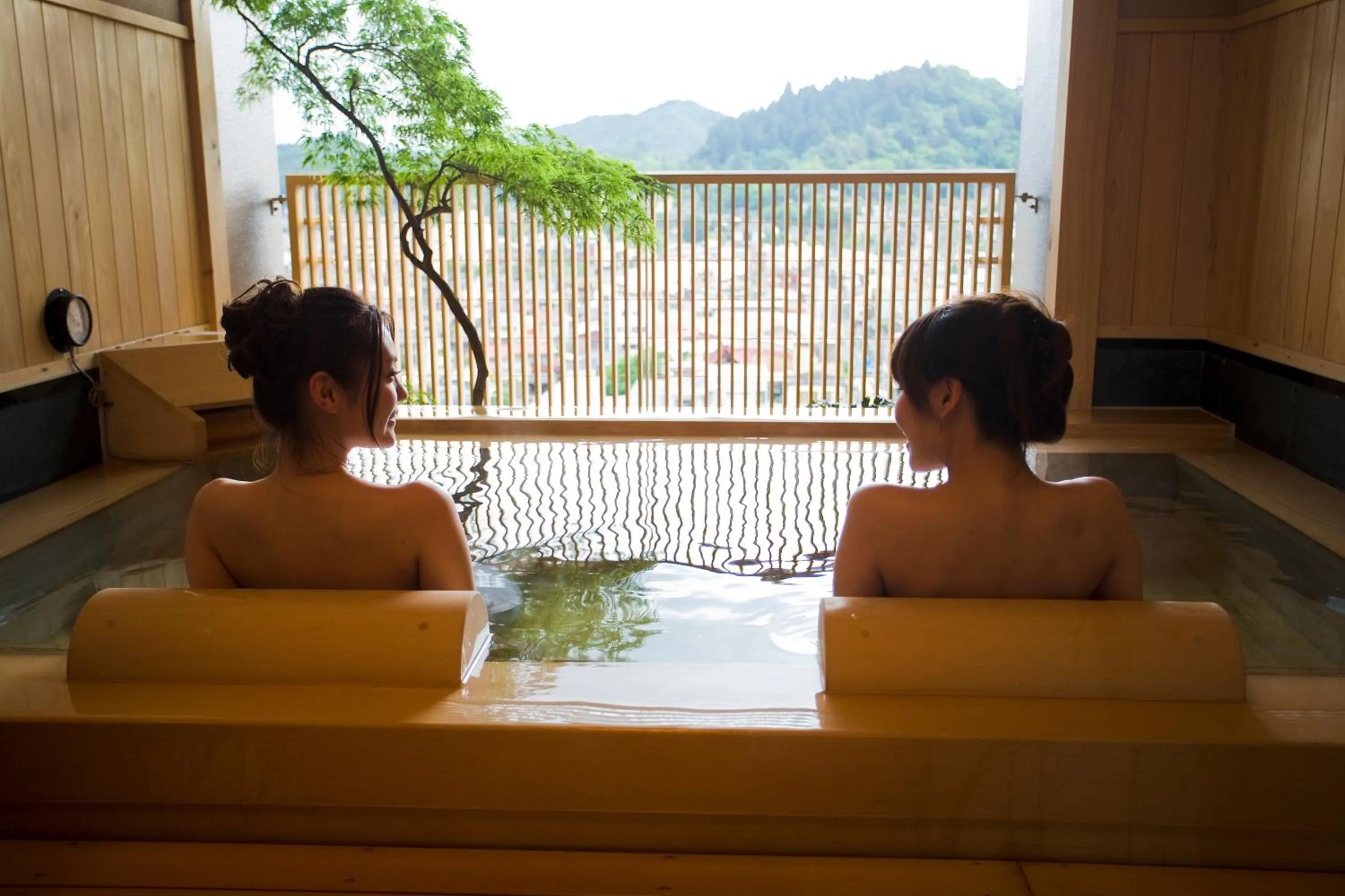 Mountain view in Takayama Ouan