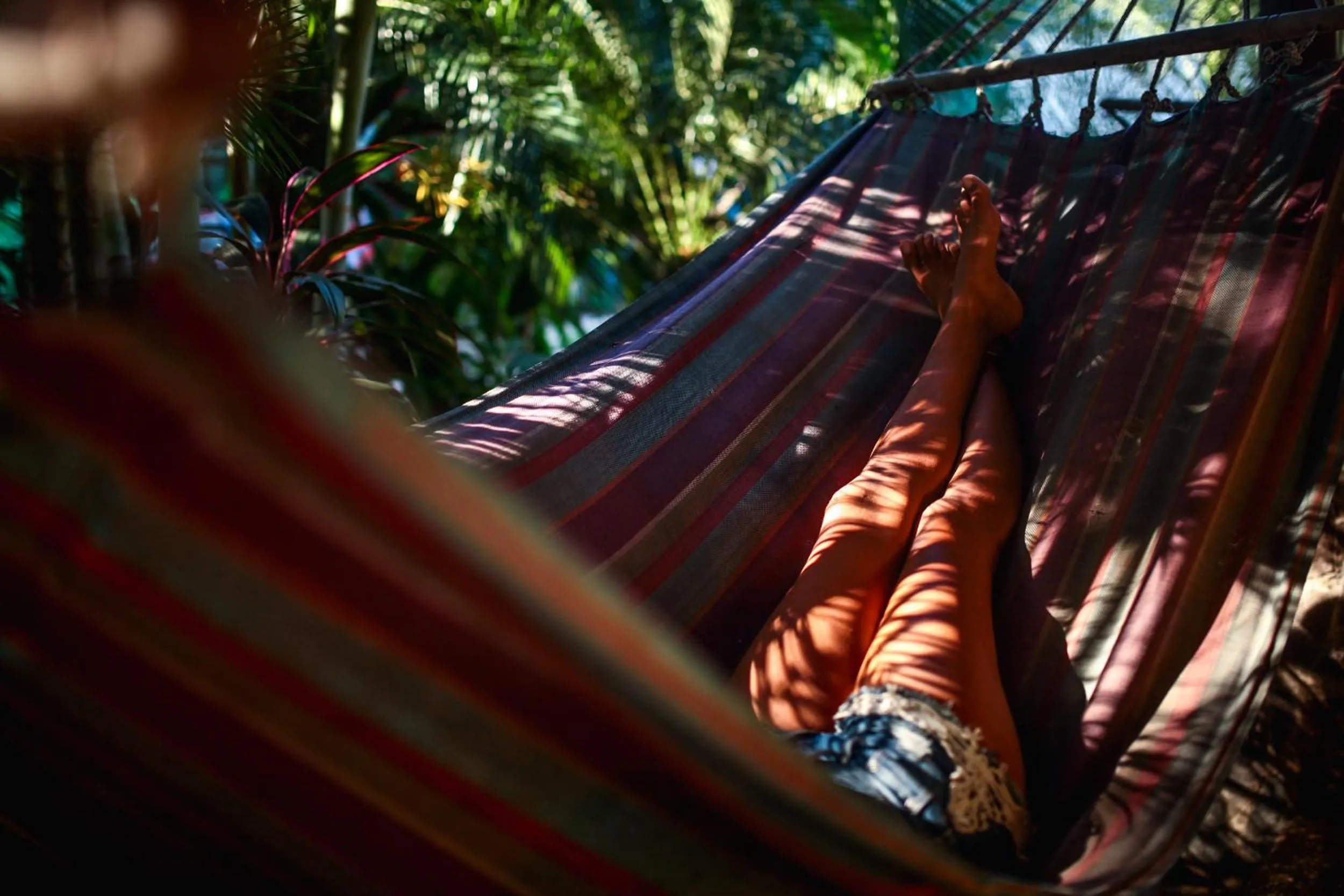 Property building in Tamarindo Backpackers