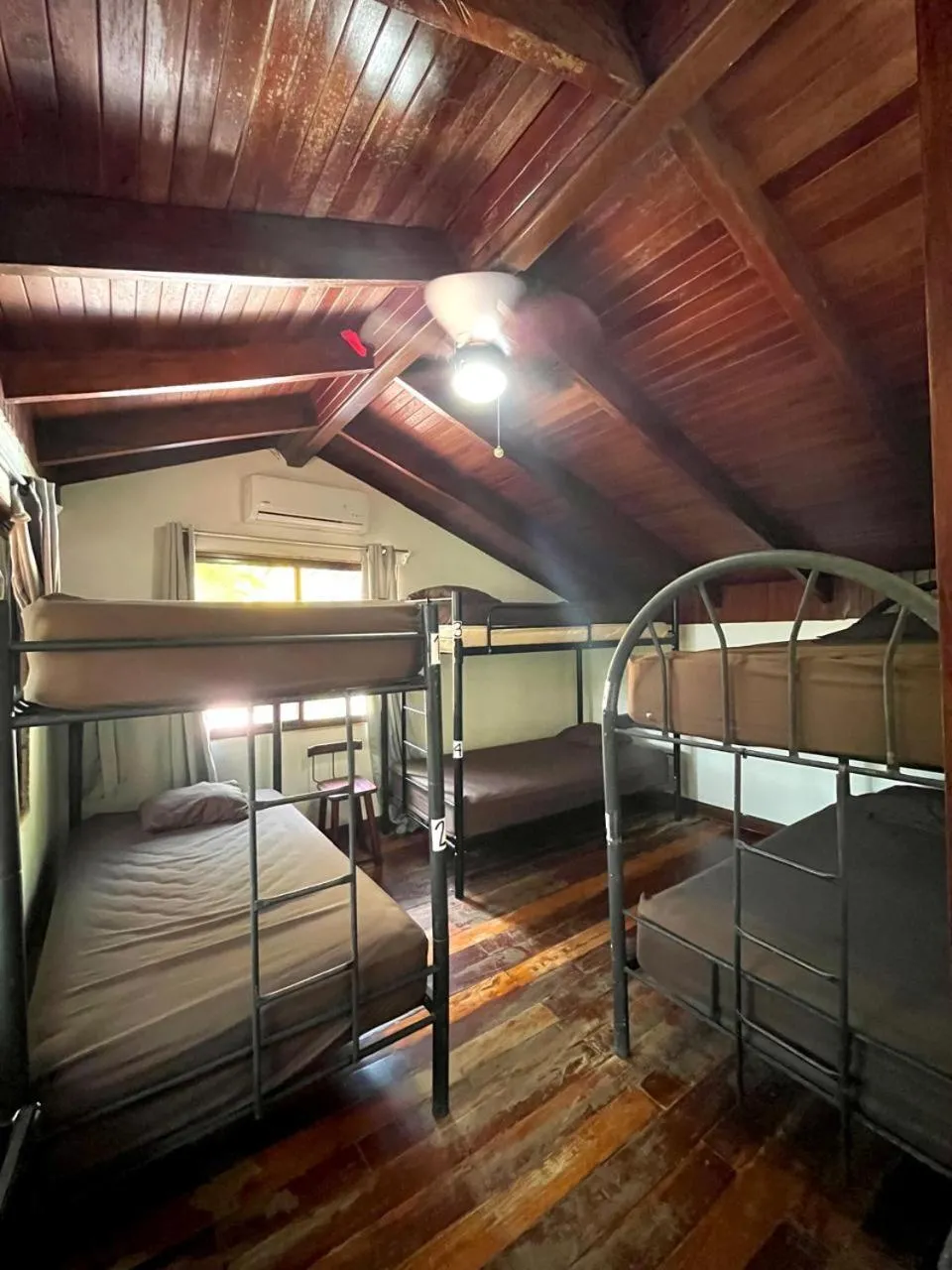 Photo of the whole room, Bed in Tamarindo Backpackers