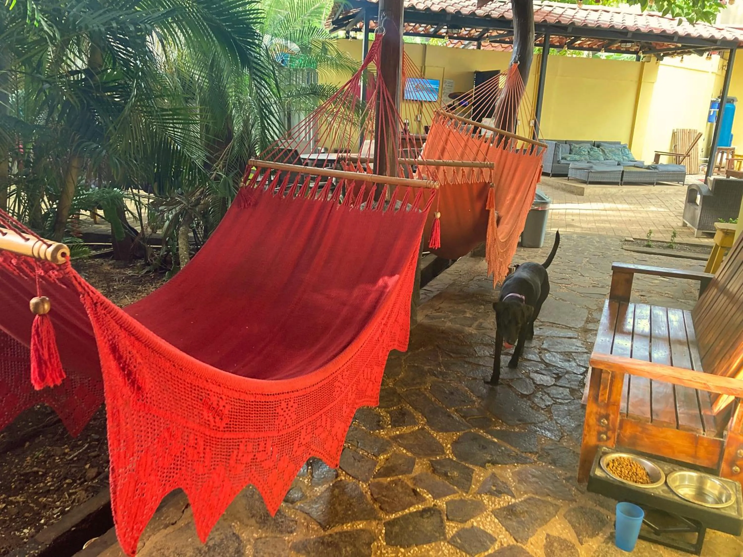 Patio in Tamarindo Backpackers