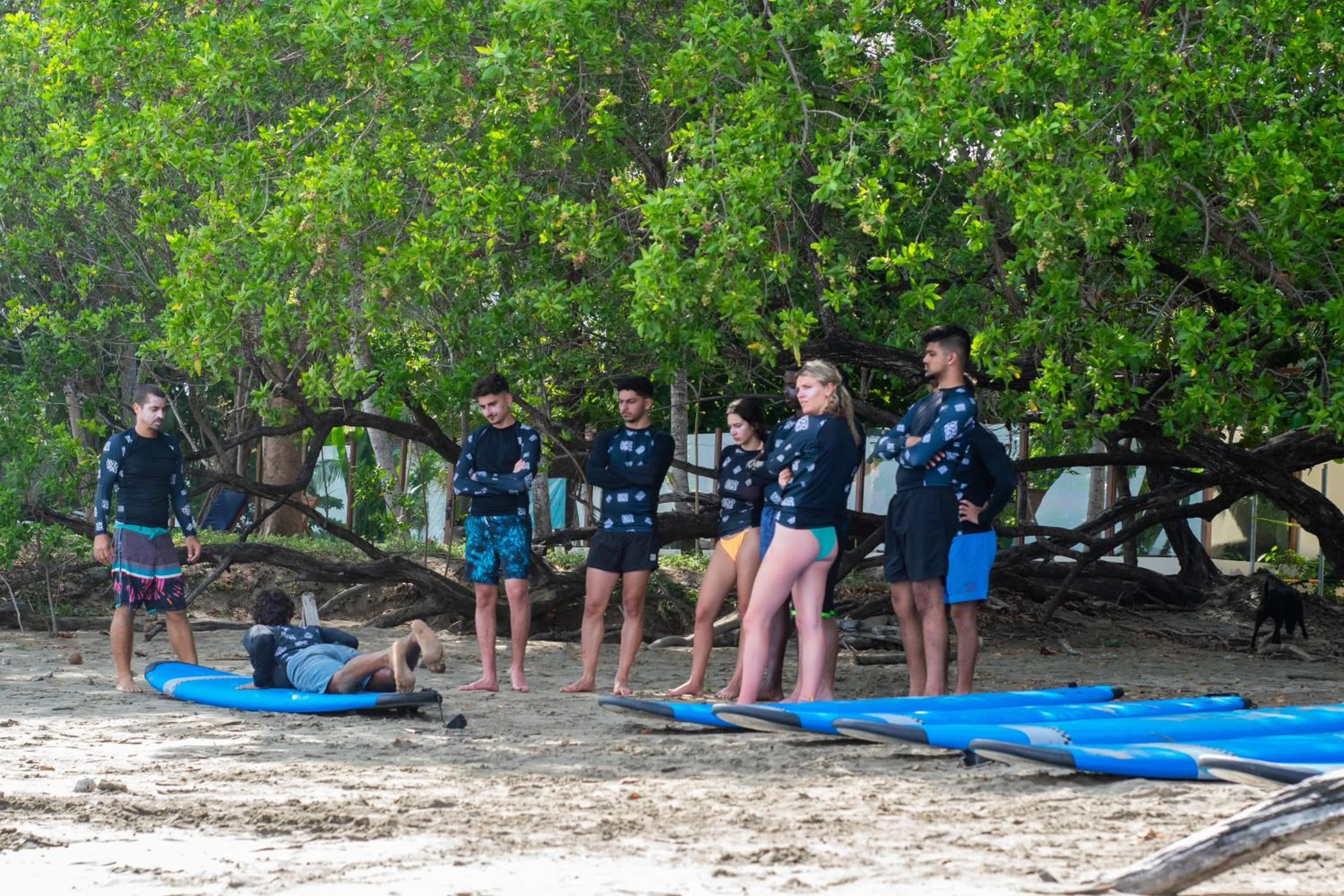 Spring in Tamarindo Backpackers
