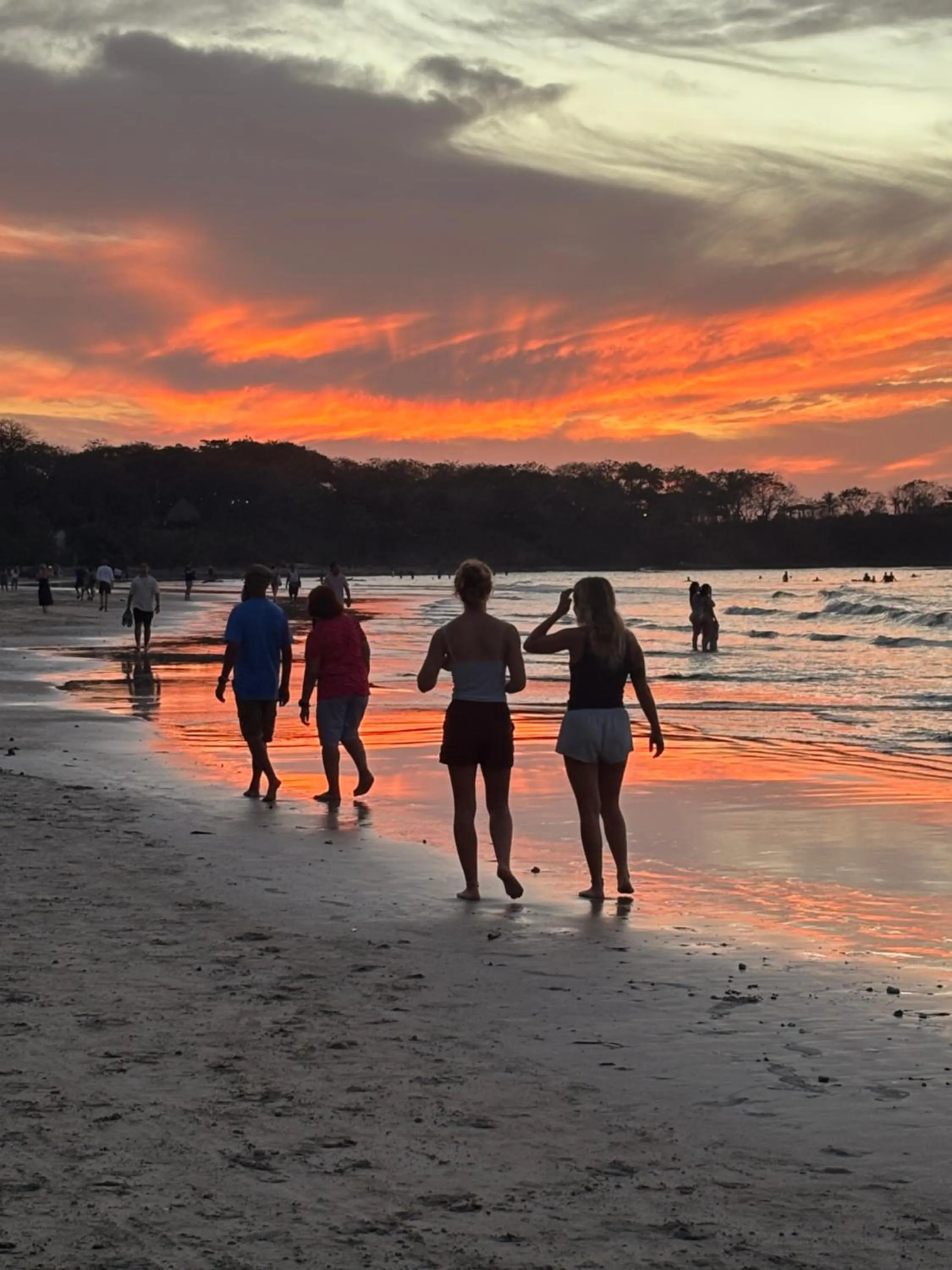 Tamarindo Backpackers