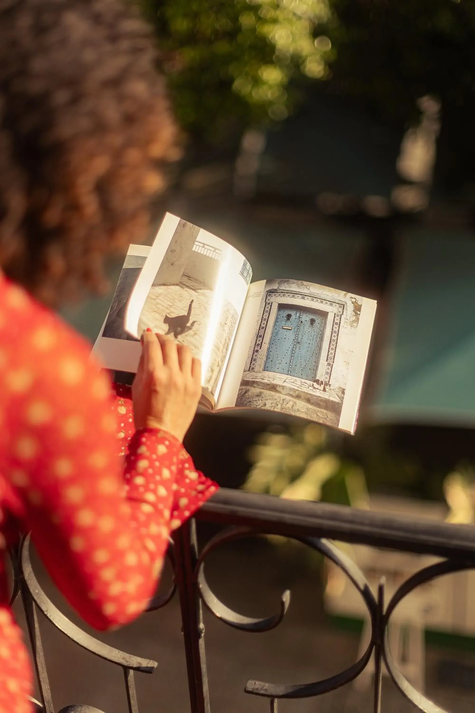 View (from property/room) in Hotel Carlton View (from property/room) in Hotel Carlton