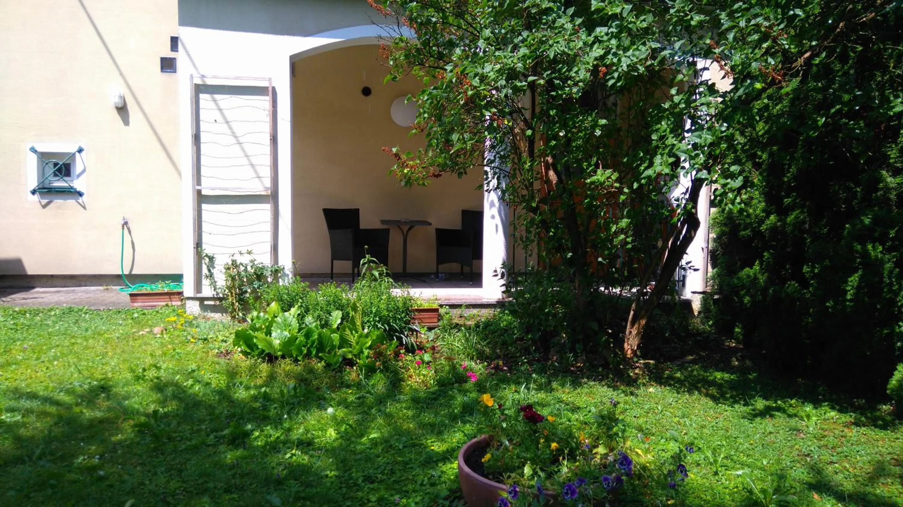 Garden in Pension Elisabeth - Rooms & Apartments