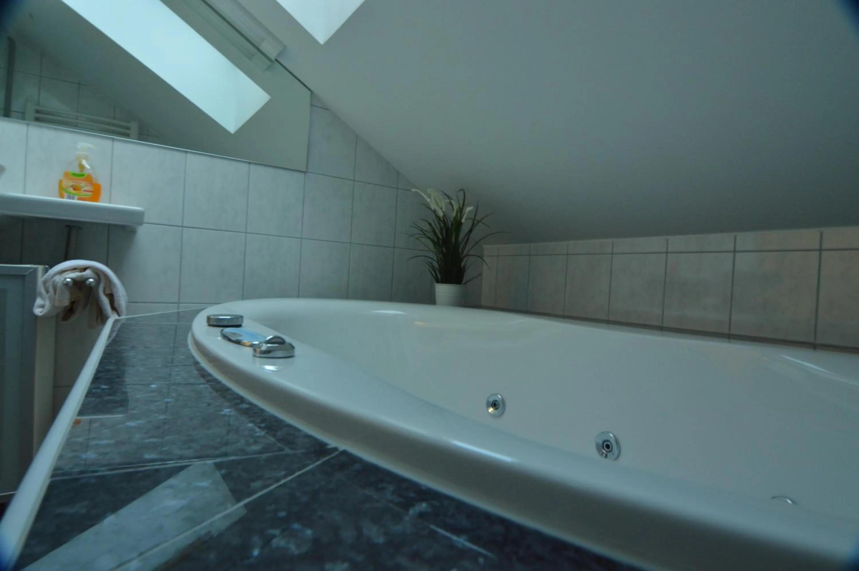 Bathroom in Pension Elisabeth - Rooms & Apartments