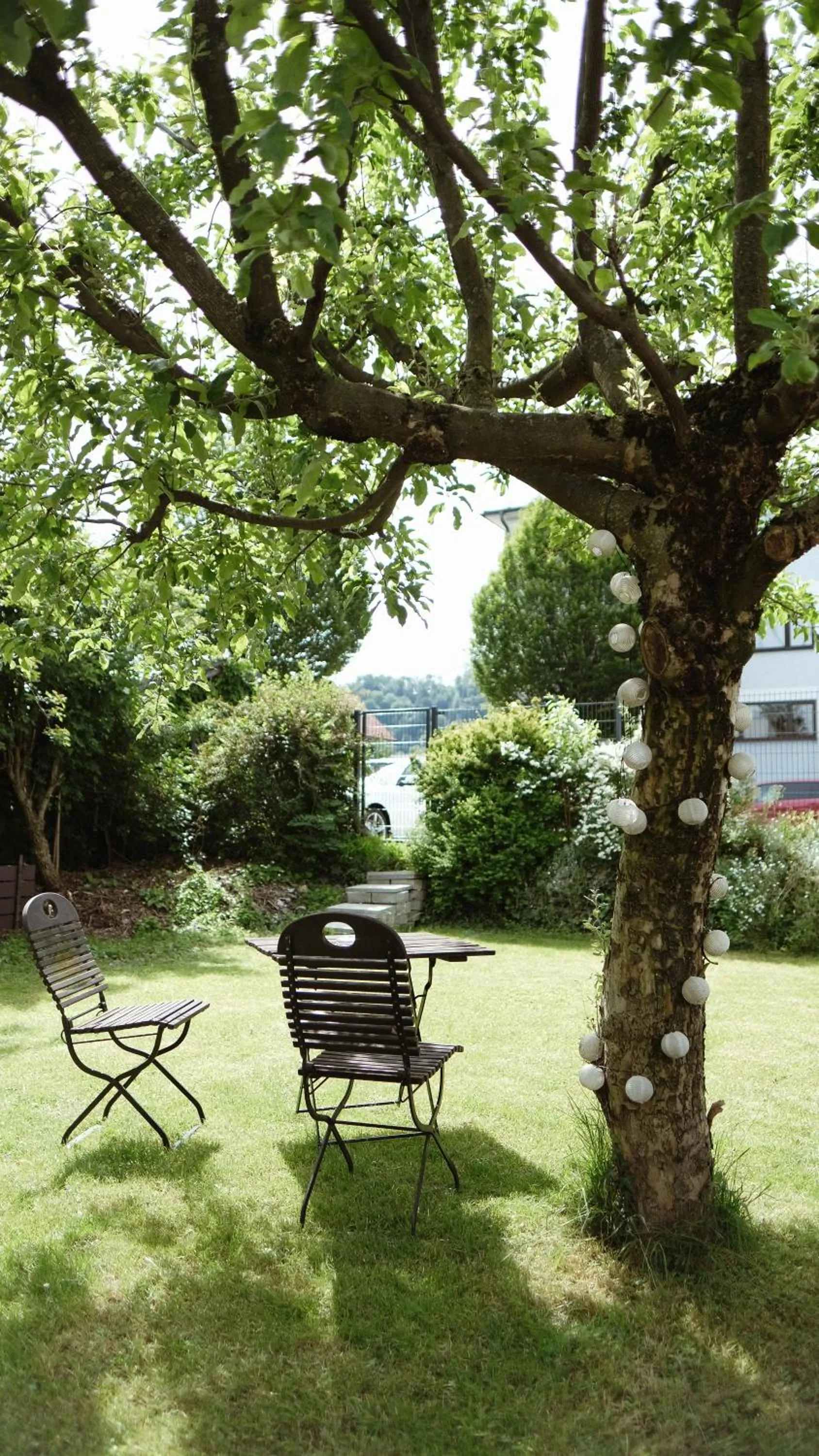 Garden in Pension Elisabeth - Rooms & Apartments