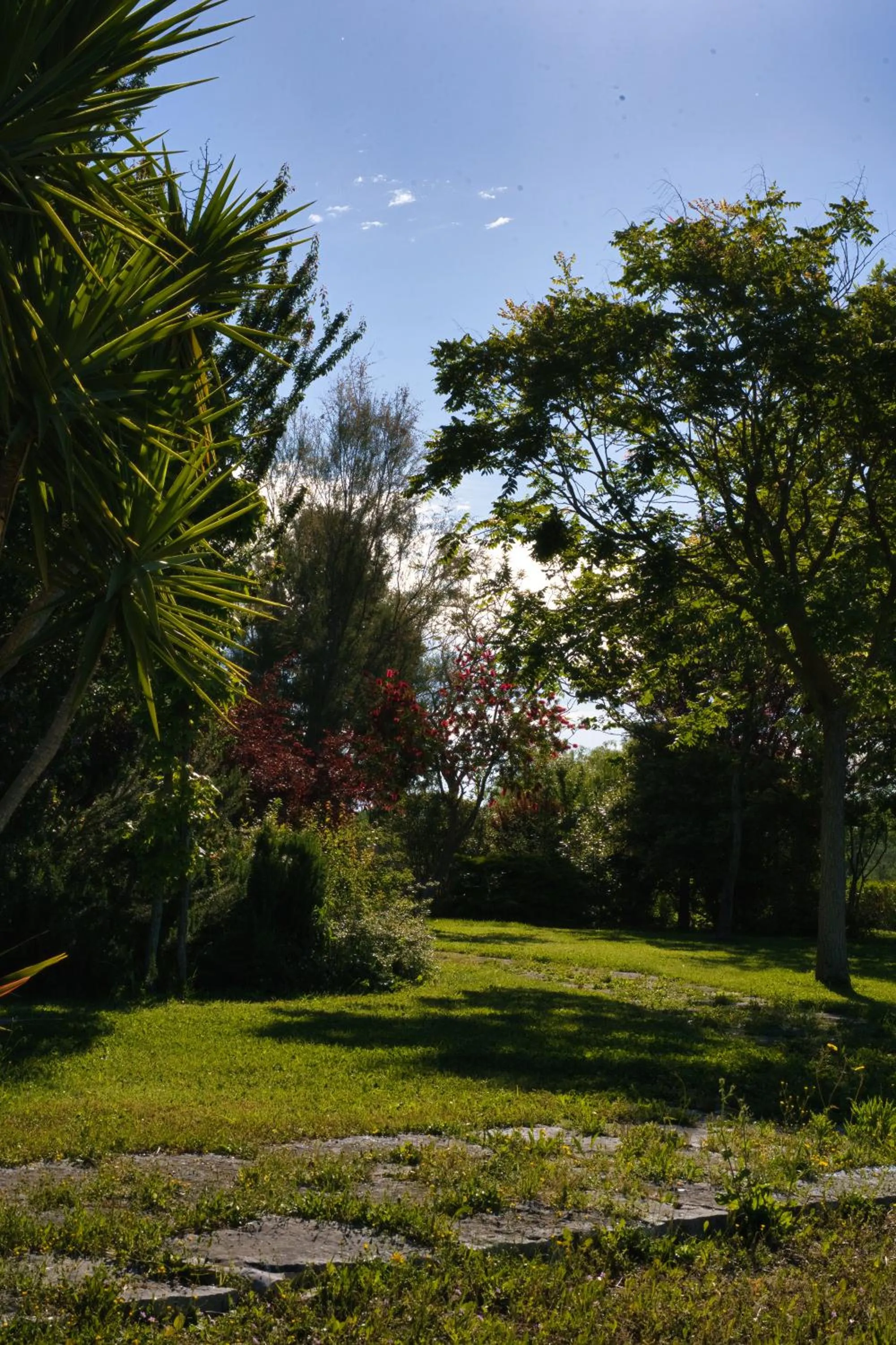 Natural landscape in Kora Park Resort