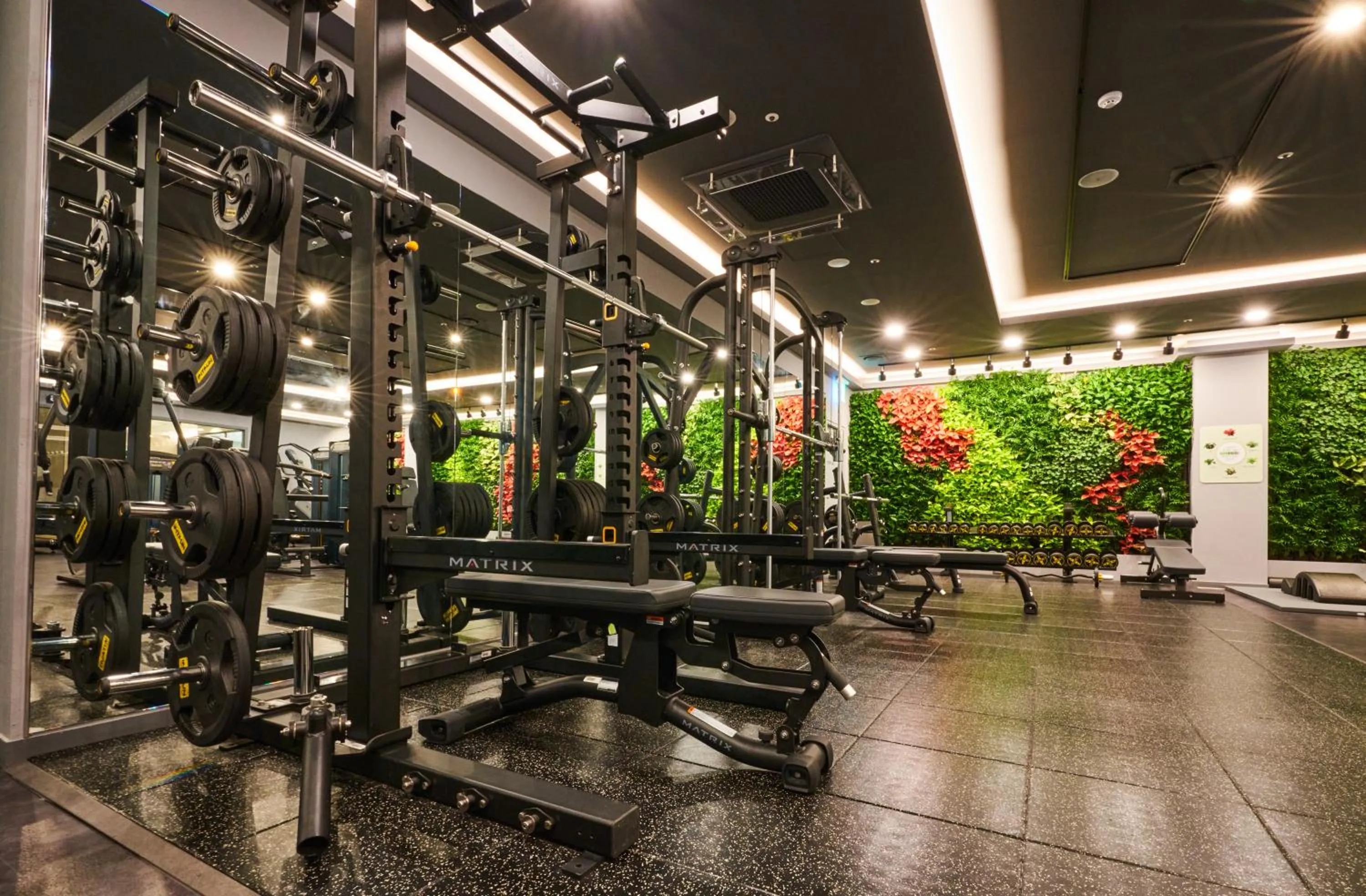 Camphortree Hotel and Resort