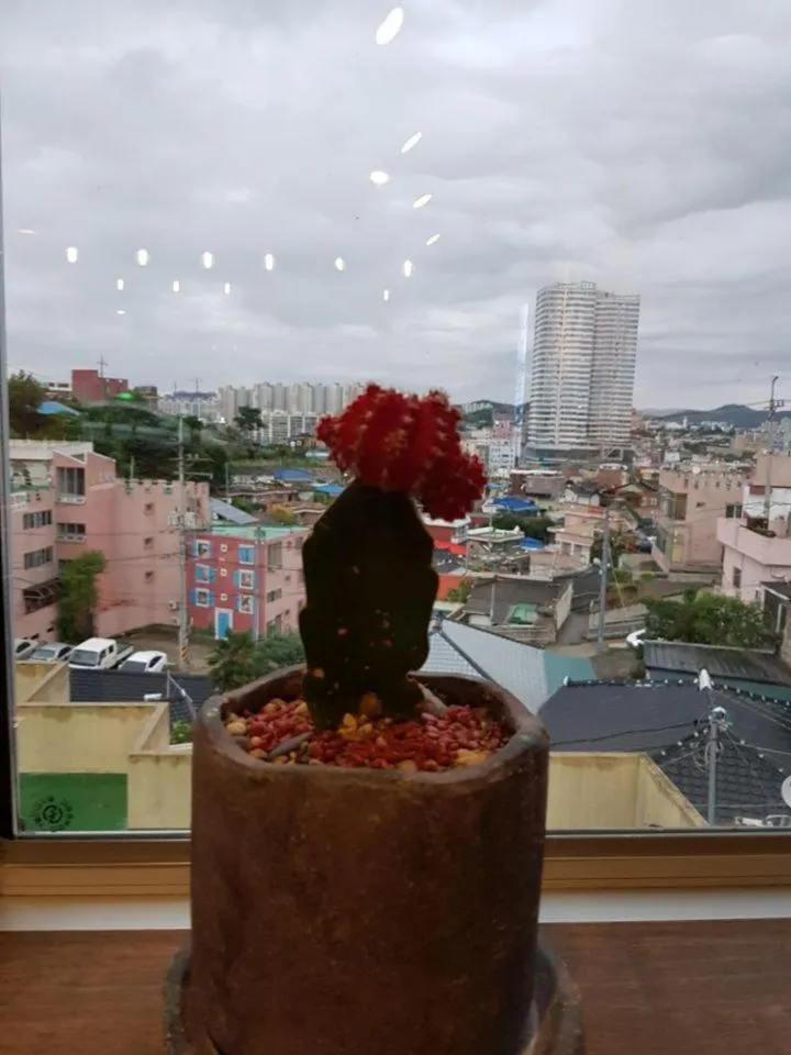 White Windmill Guesthouse