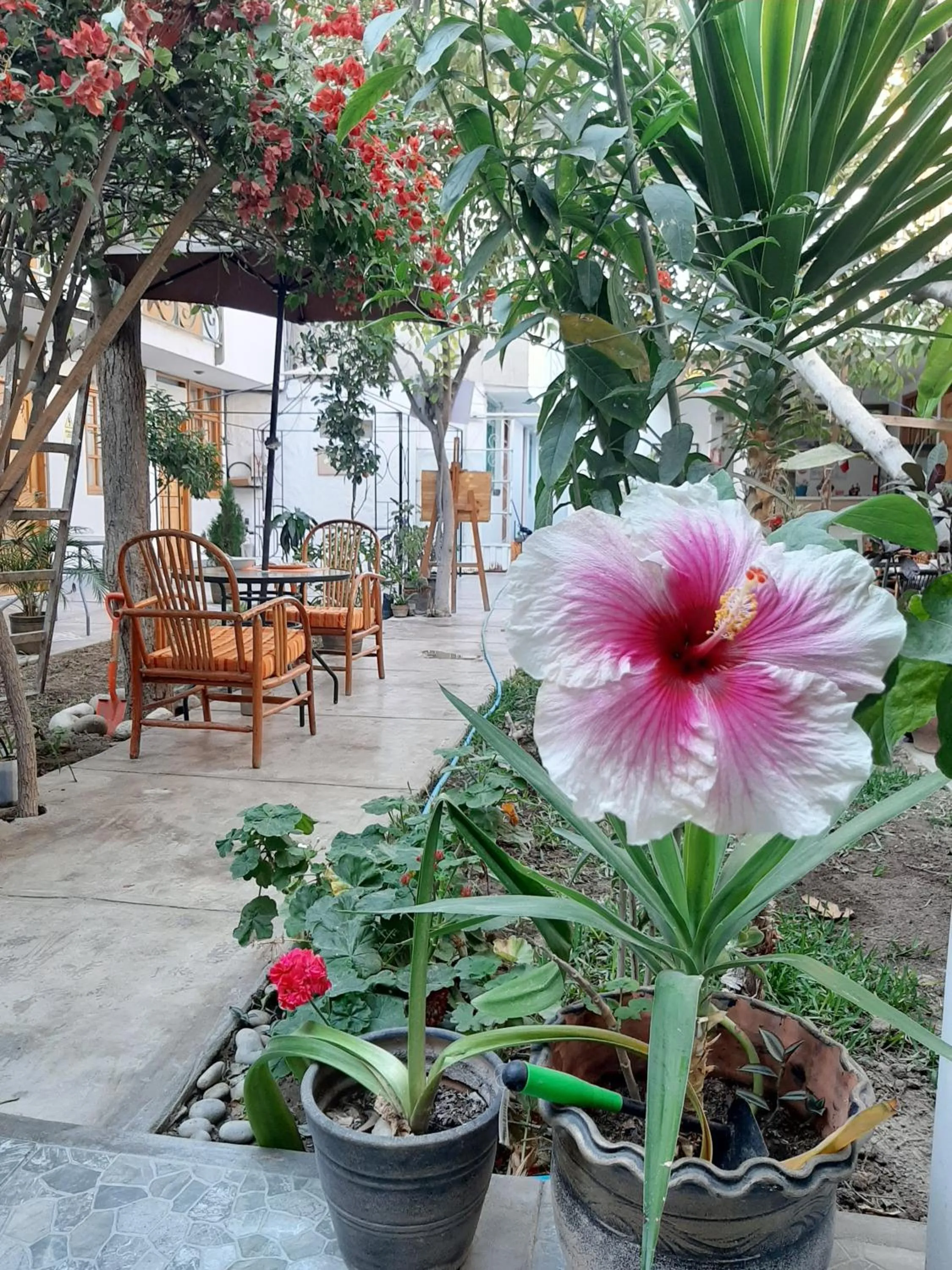 El Huerto Hostel