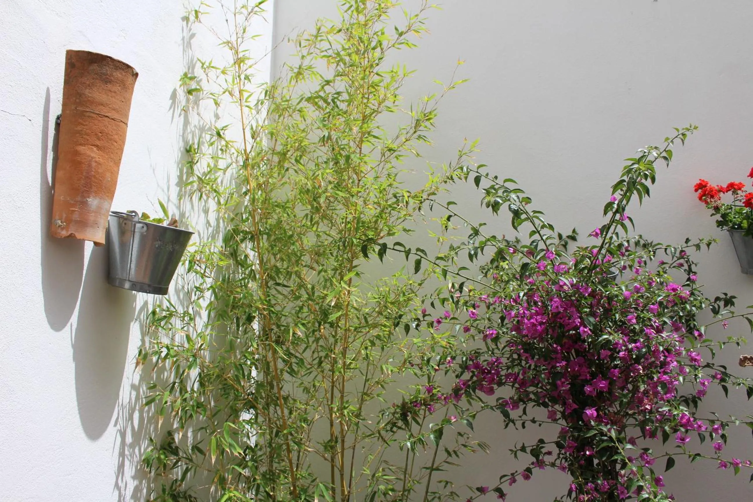 Patio in Room Tarifa