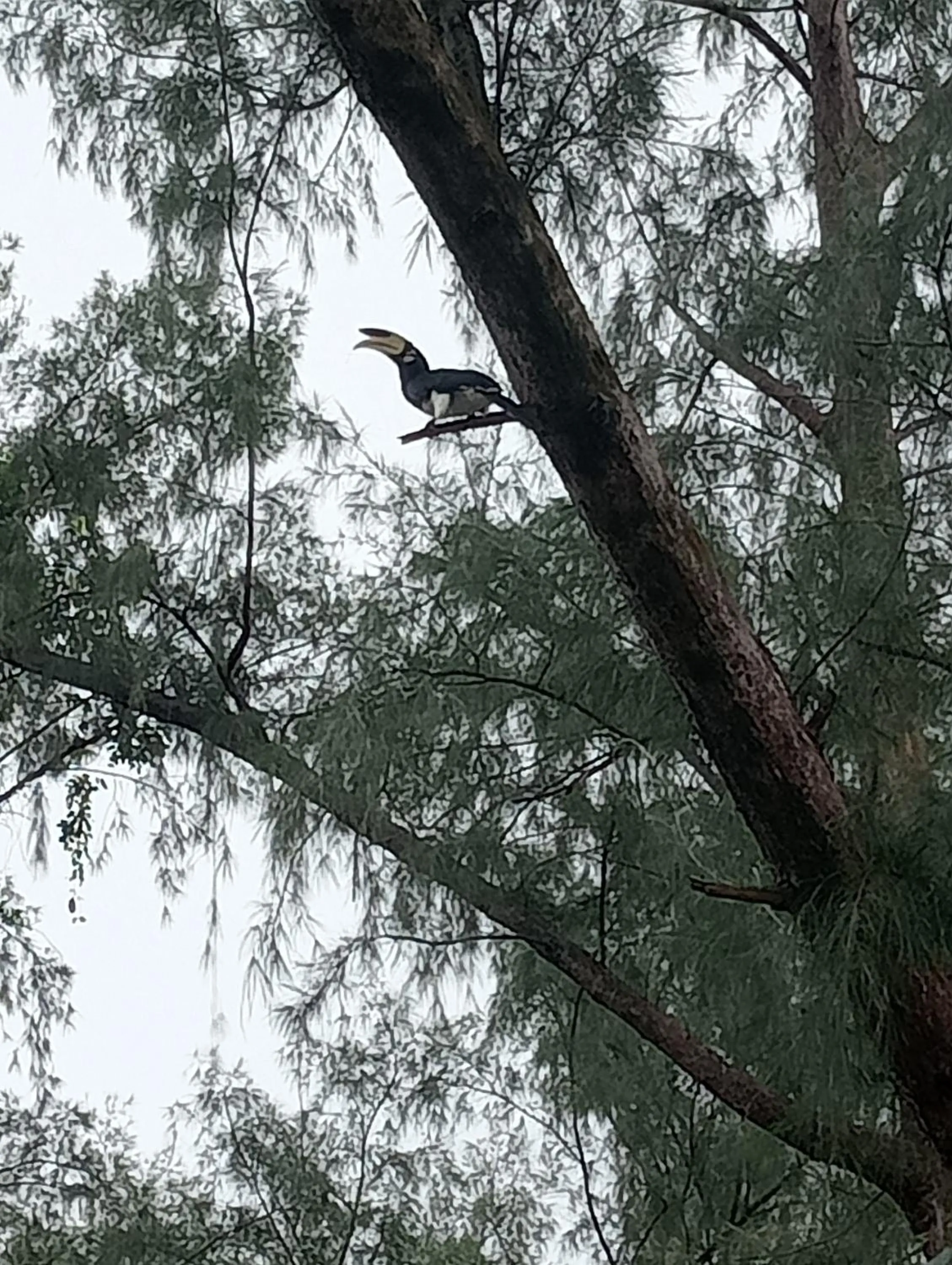 Natural landscape in Koh Thmei Resort