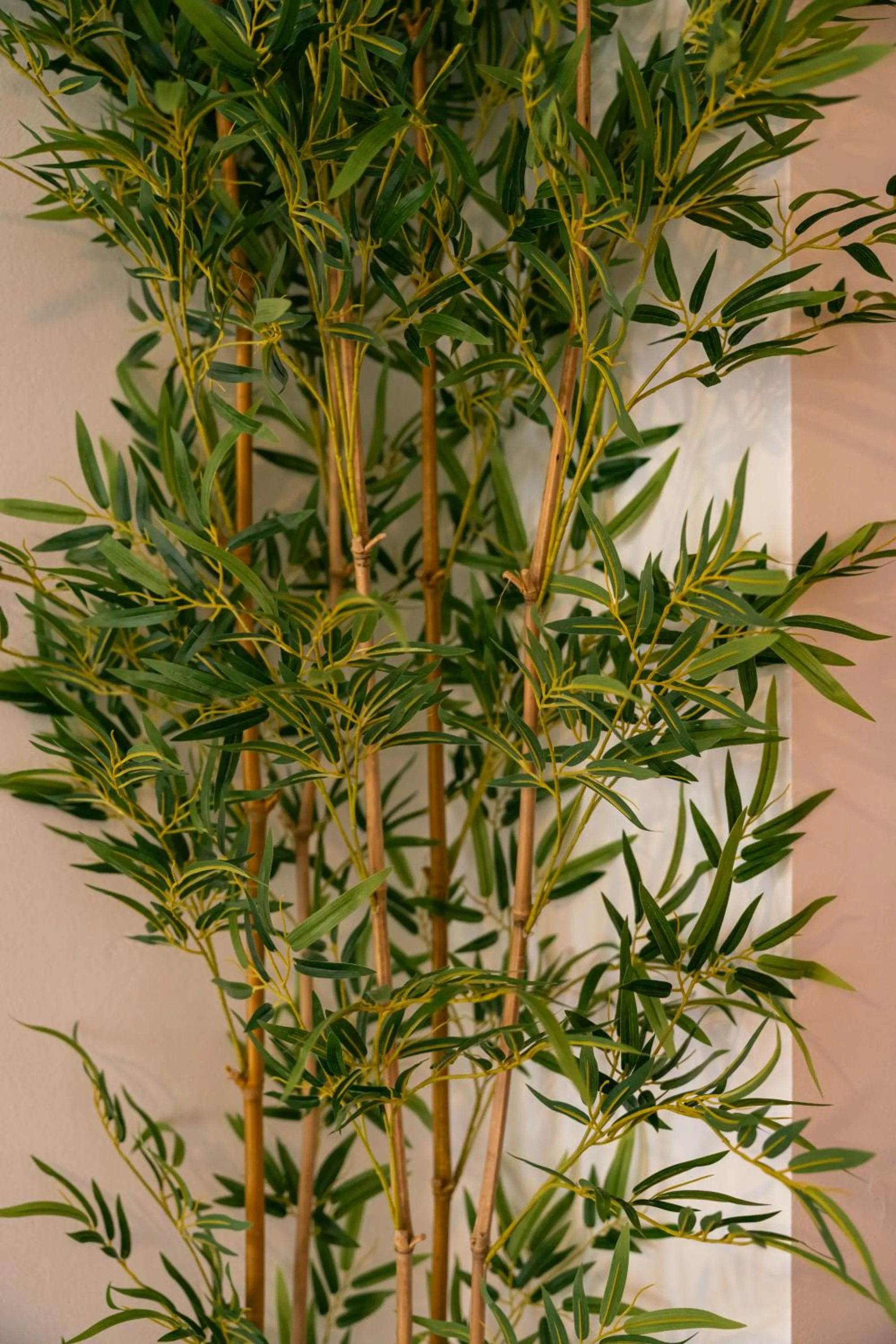 Beau Vallon Bungalows