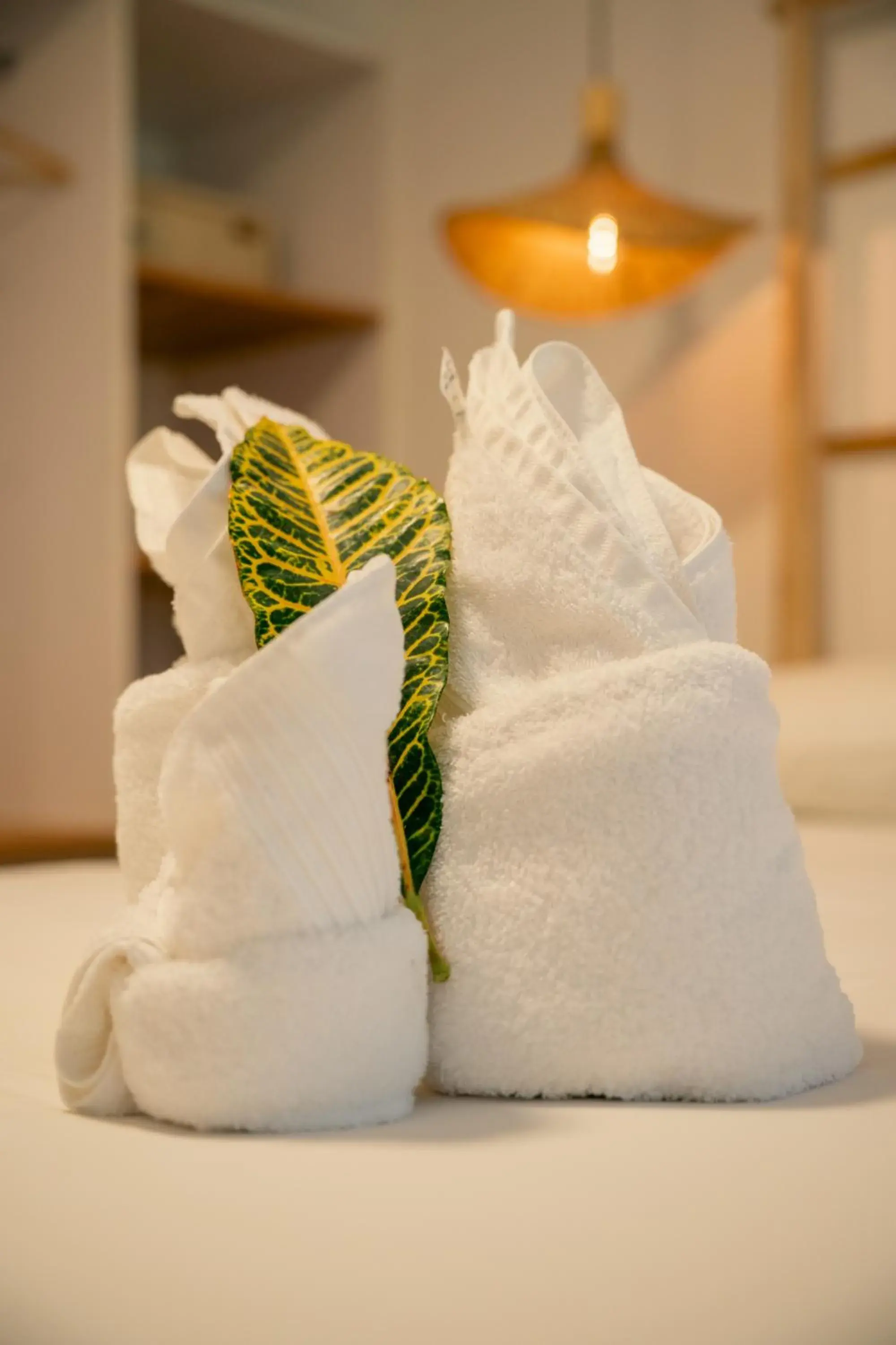 Bed in Beau Vallon Bungalows Bed in Beau Vallon Bungalows