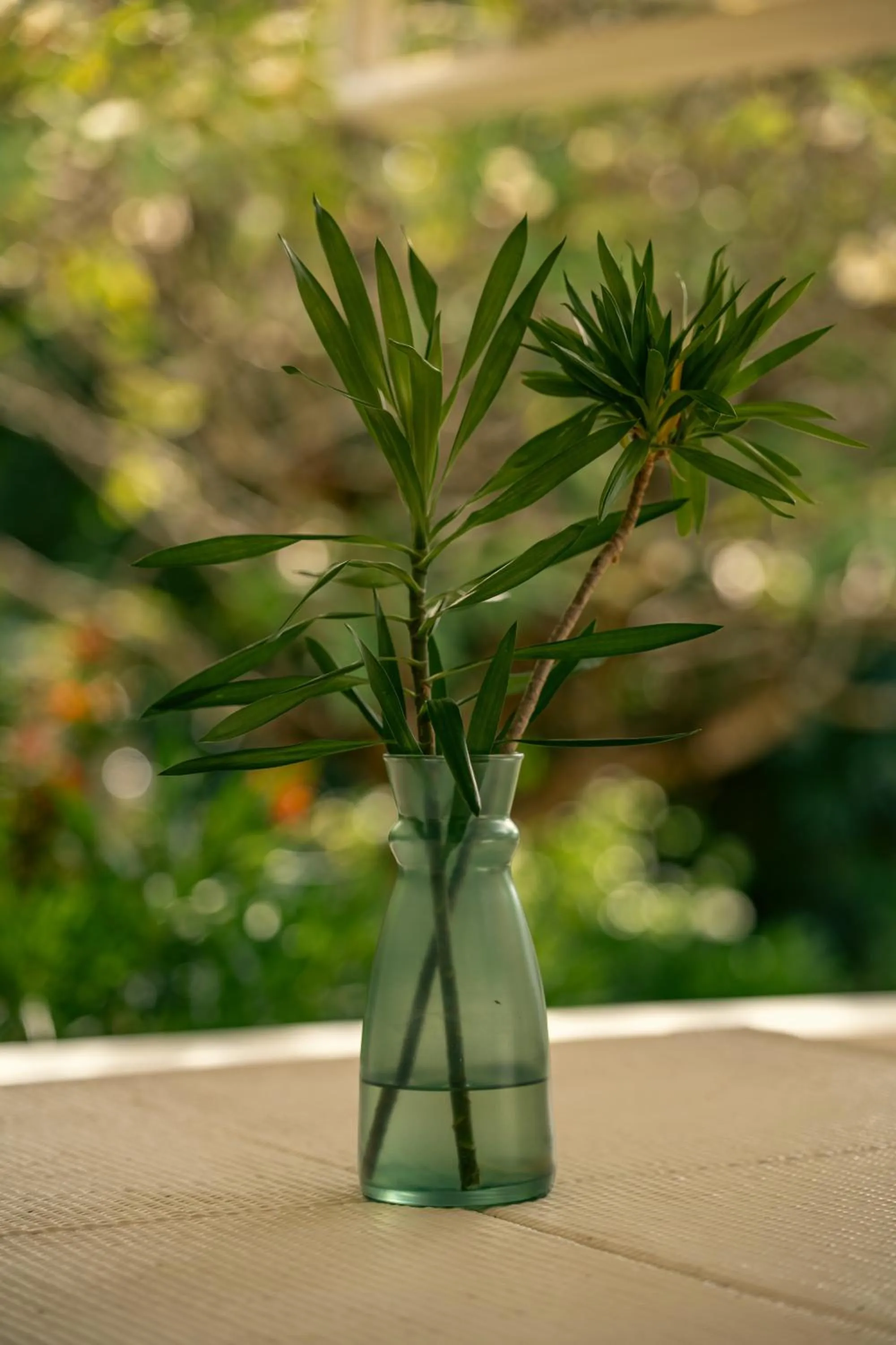 Beau Vallon Bungalows