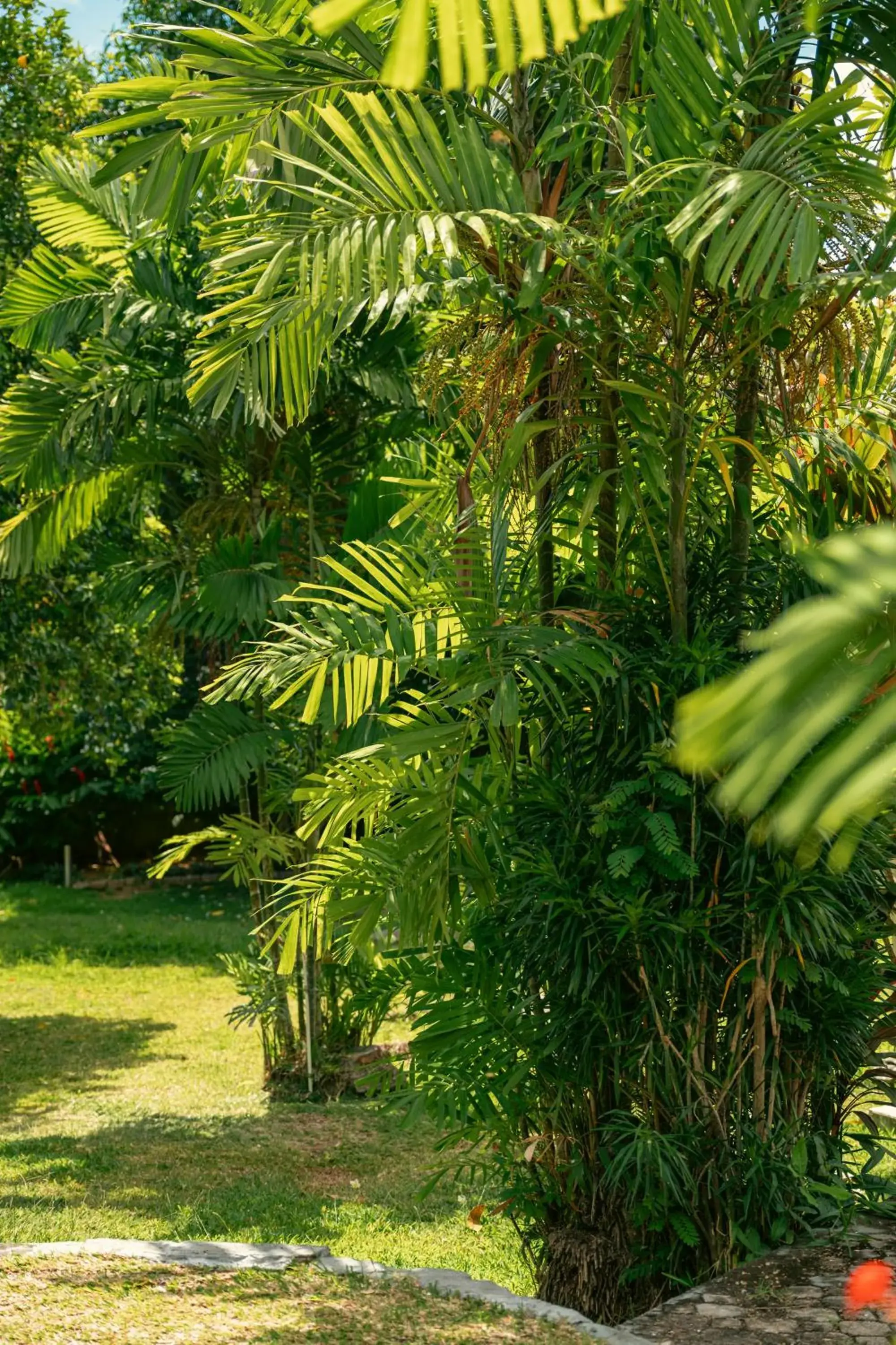 Beau Vallon Bungalows Beau Vallon Bungalows