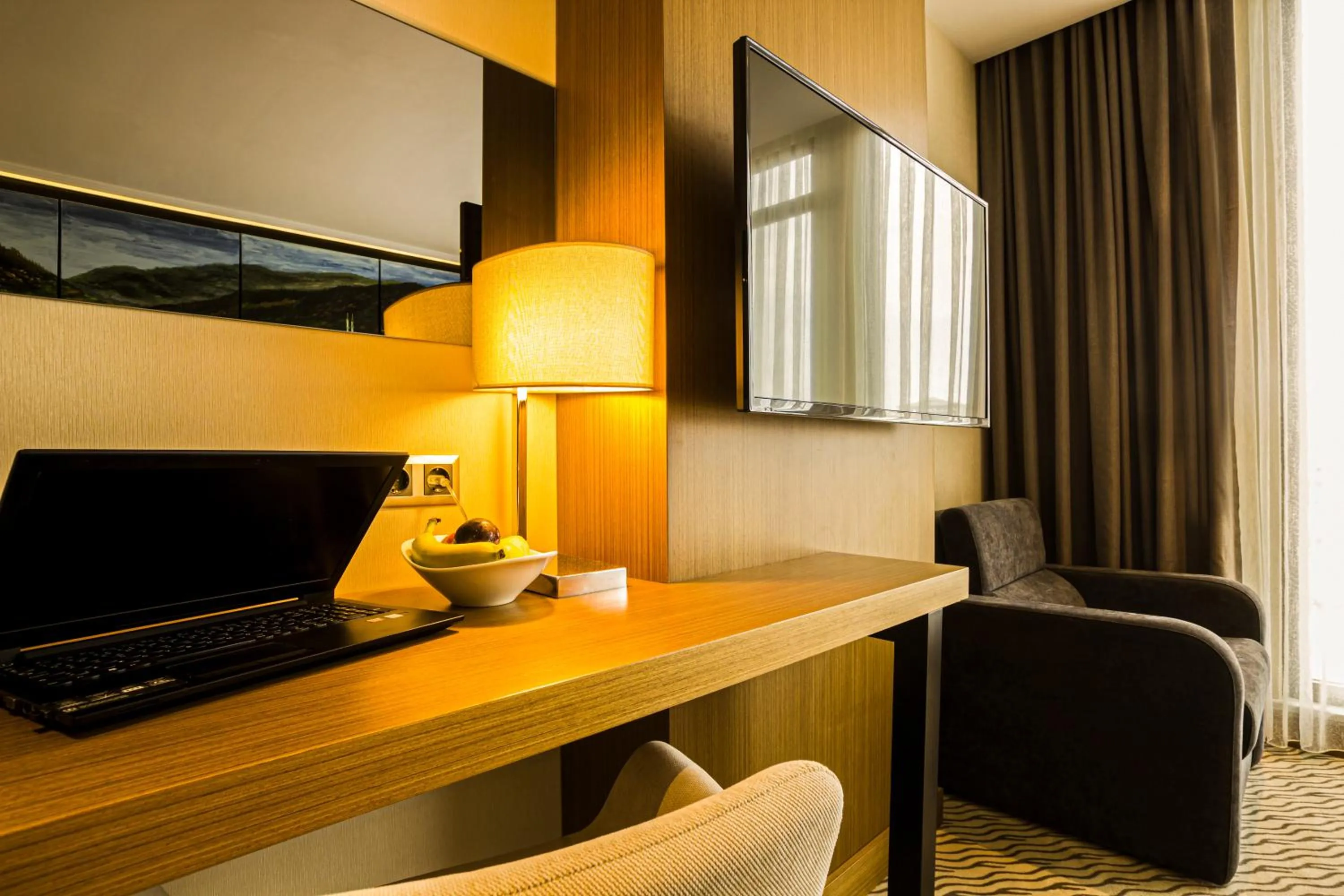 TV and multimedia in Aselia Hotel Trabzon