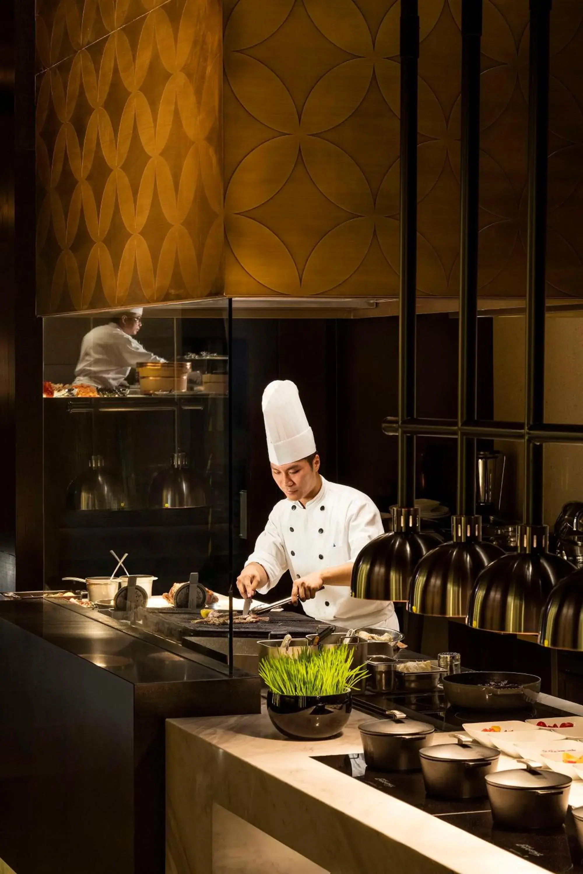 Restaurant/places to eat in Grand Hyatt Hong Kong Restaurant/places to eat in Grand Hyatt Hong Kong