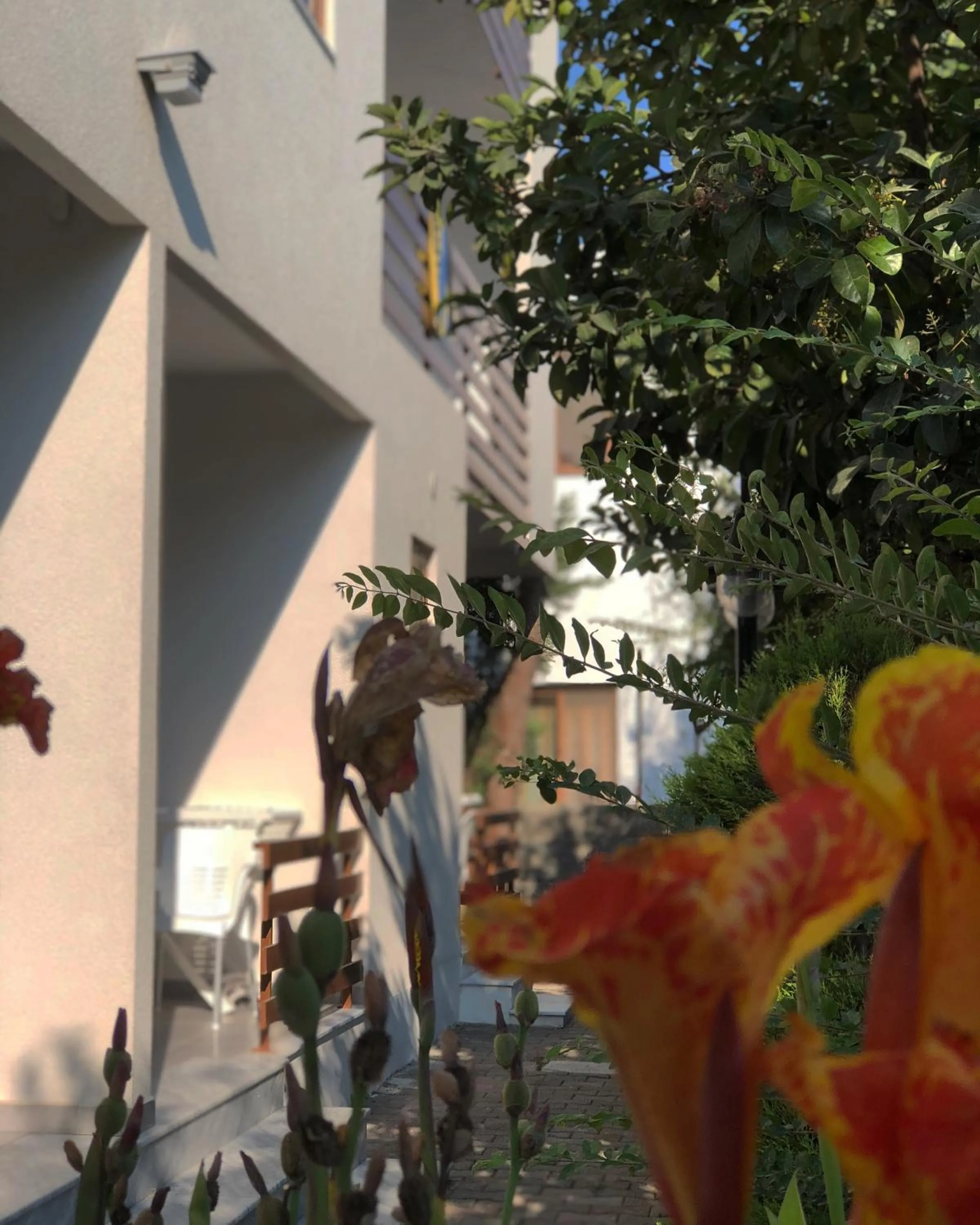 Property building in Hotel Athina